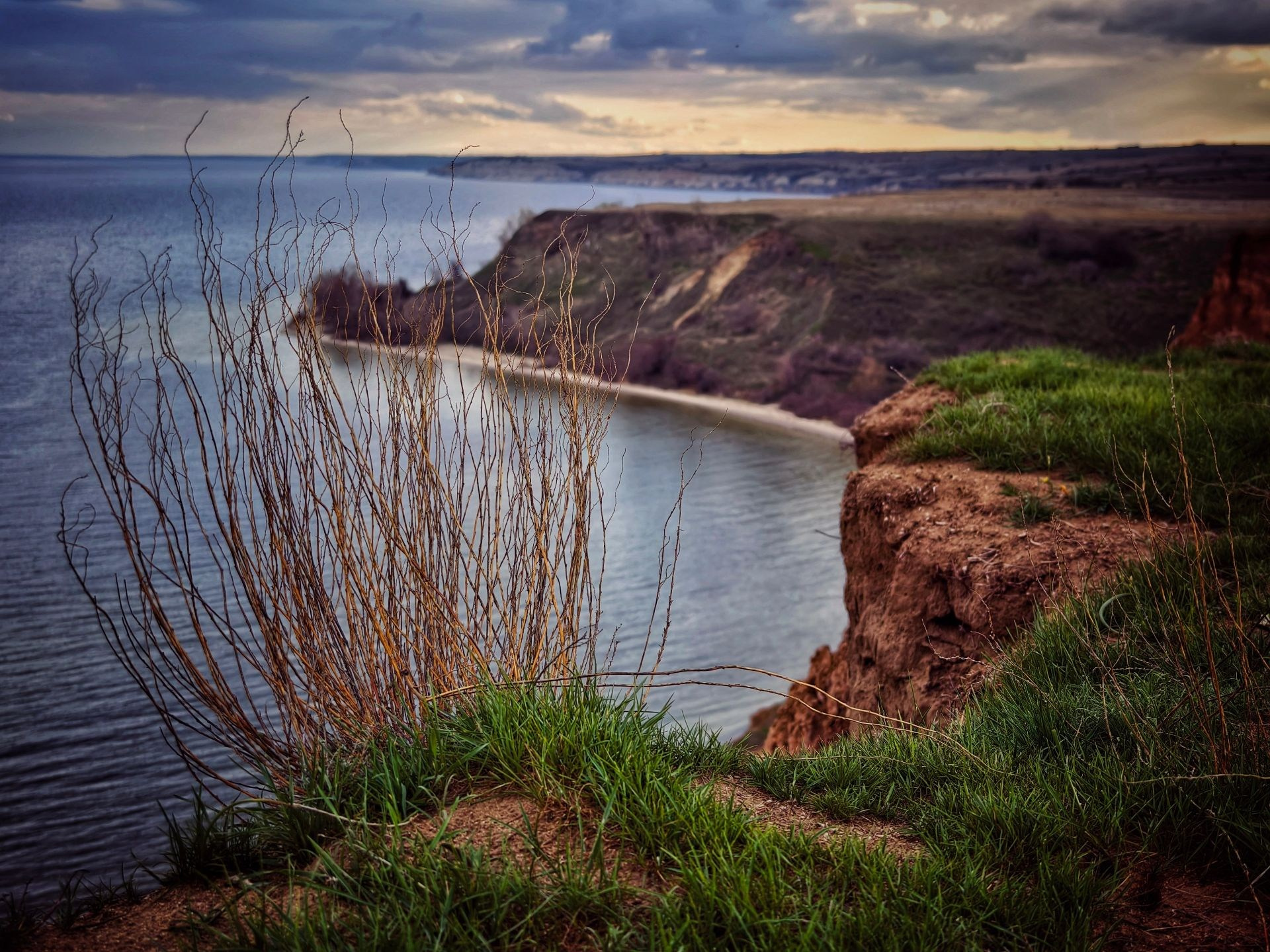 Обрывистый берег реки с зелёной травой и сухими ветвями на переднем плане