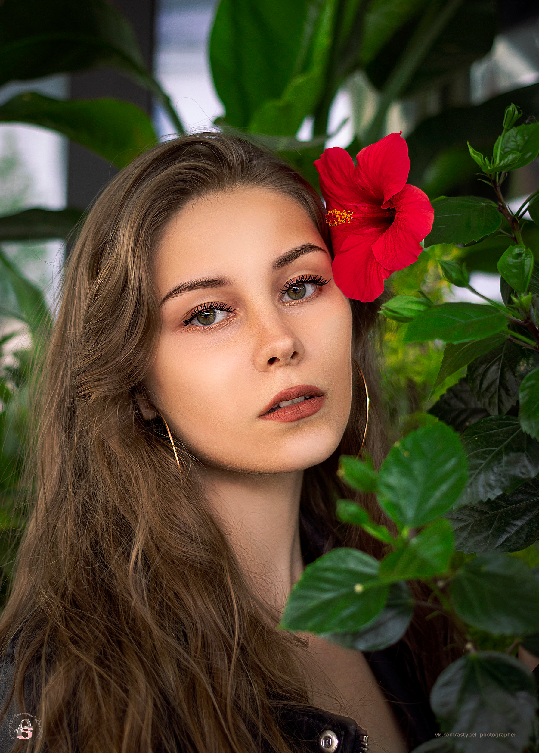 Прогулочная фотосессия с щенком аляскинского маламута Рамзи. Фотограф Анастасия Белякова в Санкт-Петербурге и Гатчине