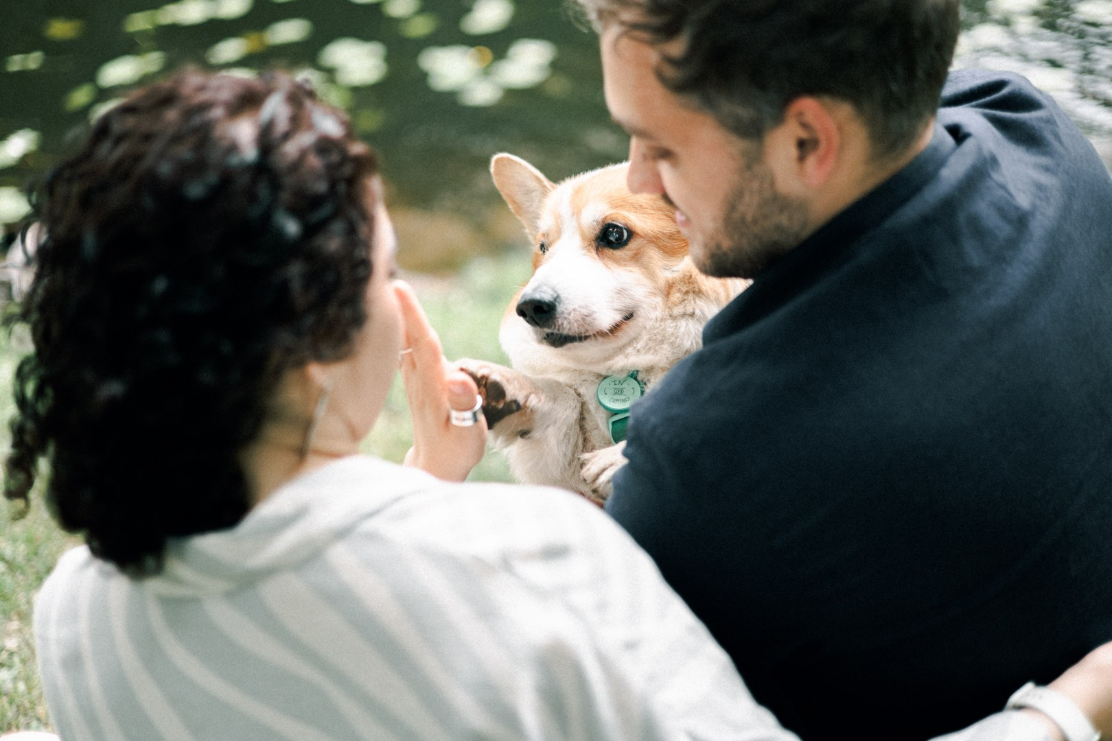 Dogs. Юлия Астра: Фотограф в Санкт-Петербурге. Снимаю женские портреты, уличные съёмки в Петербурге и людей с их собаками