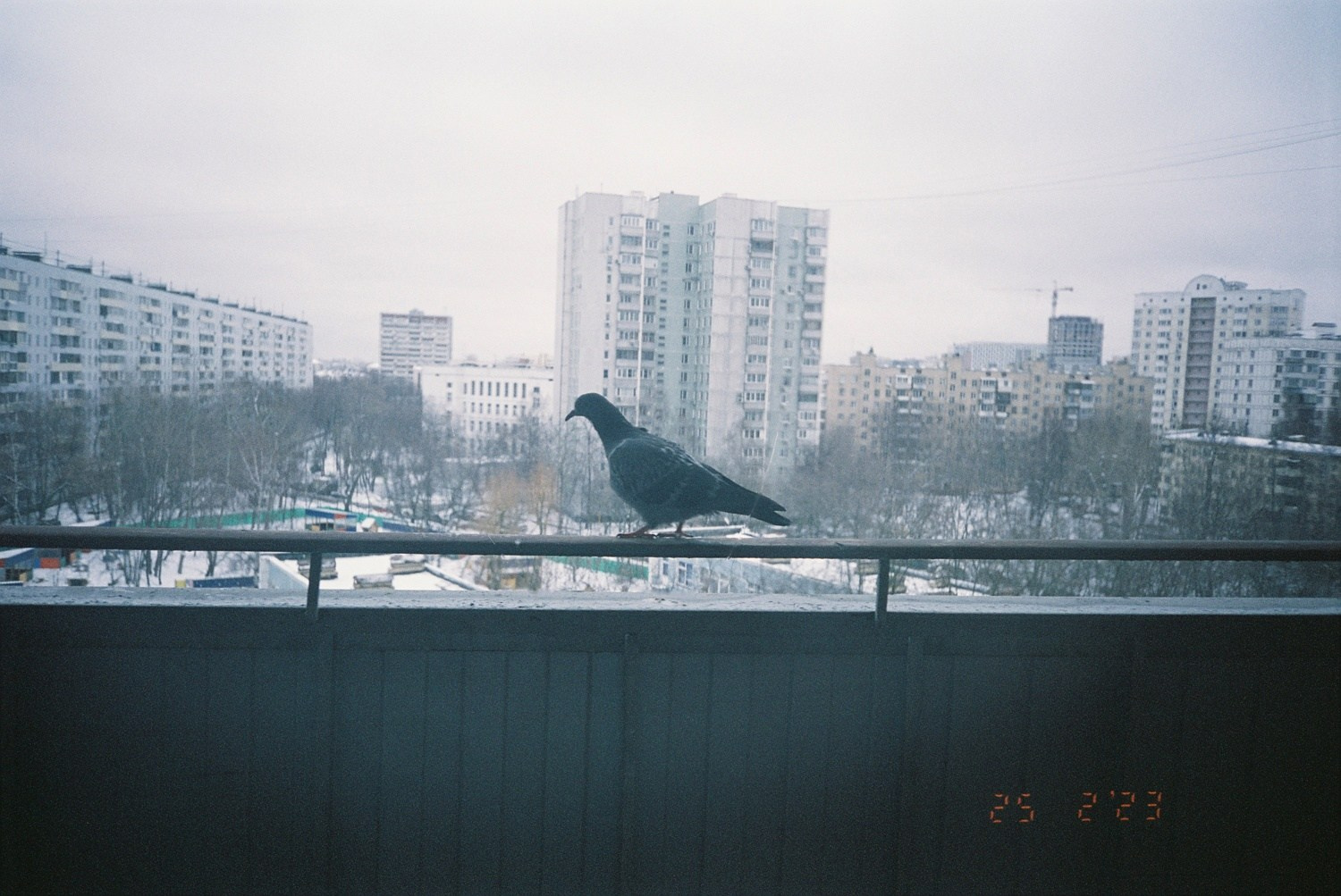Дом напротив. Художественная фотография. Фотография на плёнку. Илья Вараксин