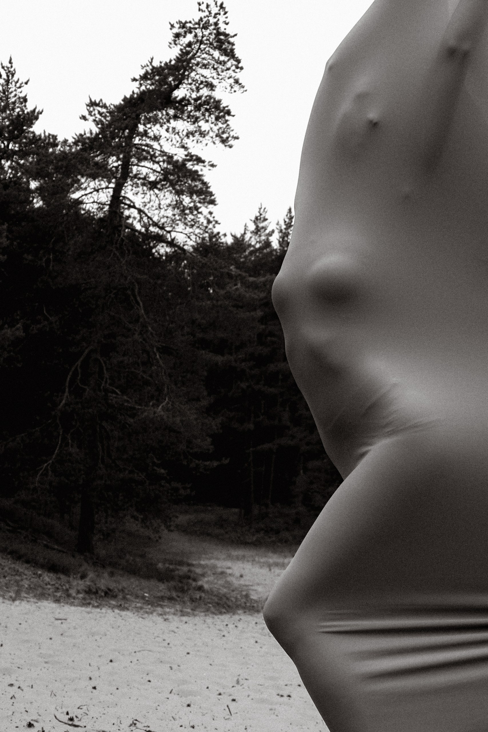 Фотограф Молчанова Анастасия