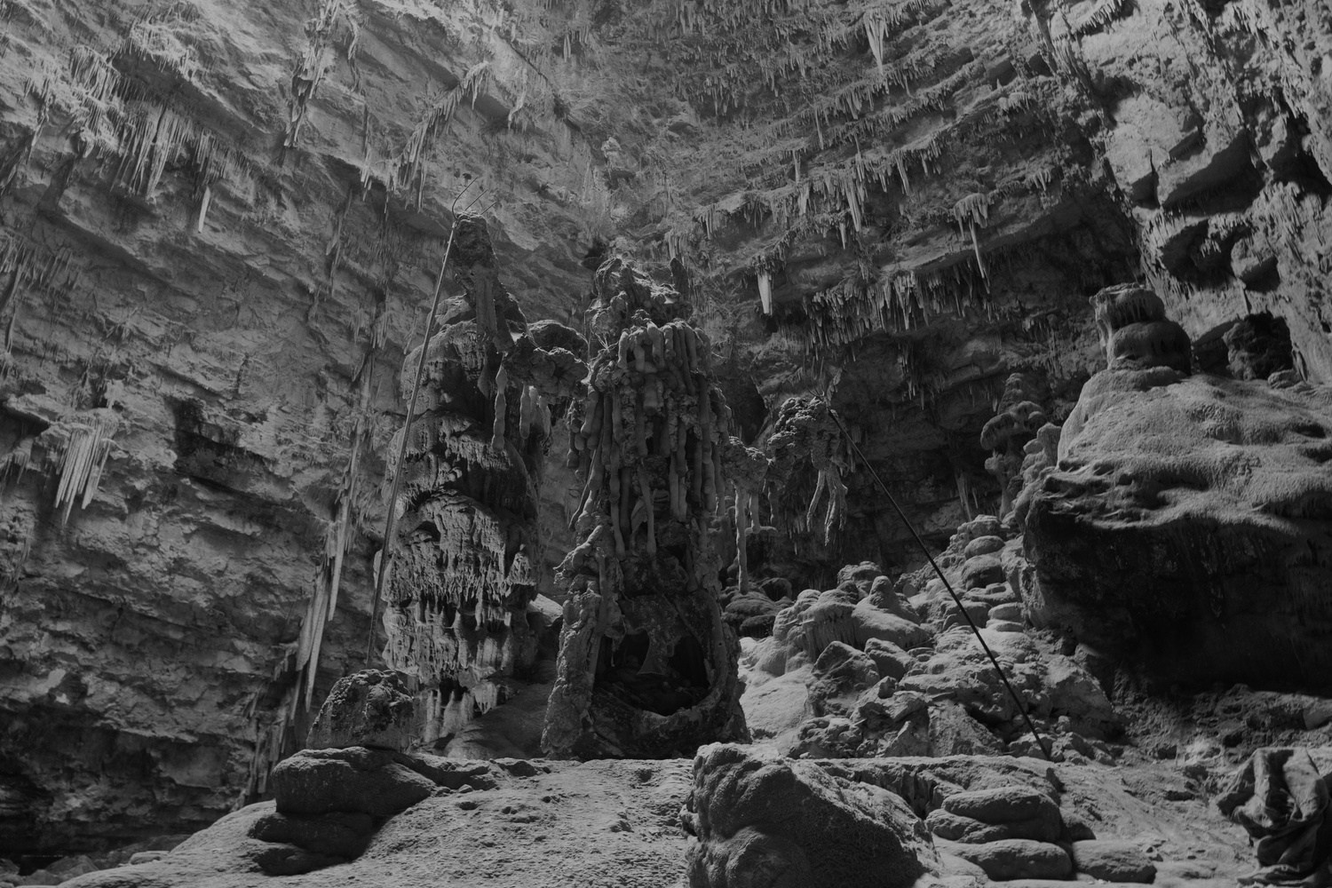 Проект Розы Лакавалла (Rosa Lacavalla) «Sana Sana». Private image