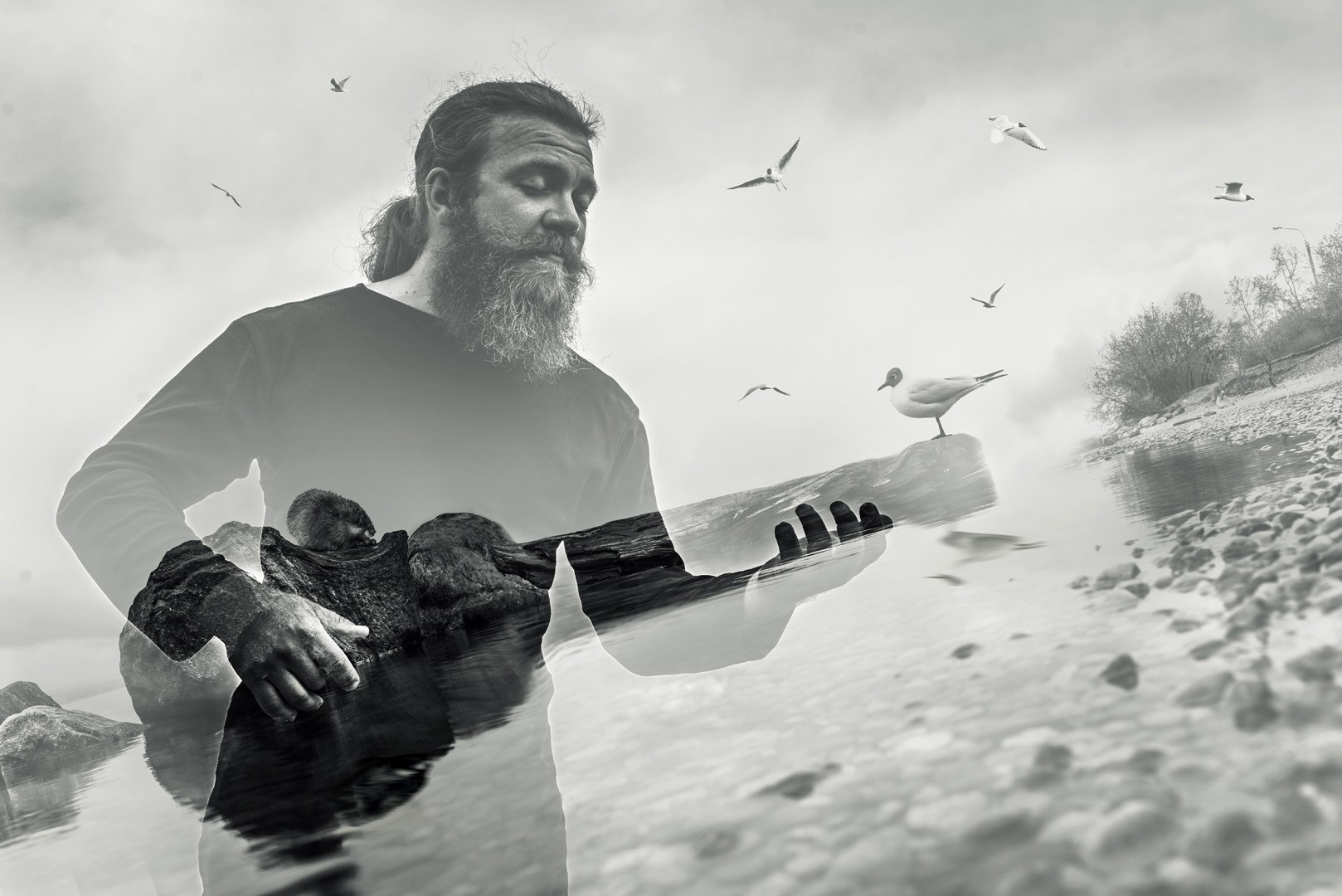 Продажа фото. Фотограф Александра Тимофеева