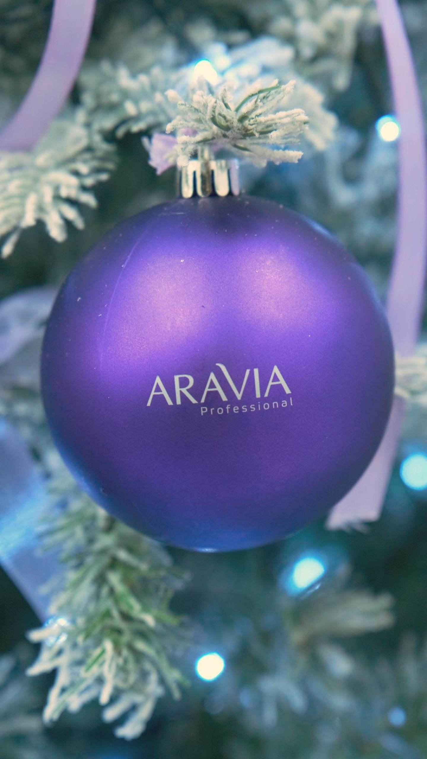 Video. Организация фото/видео съемки, Москва