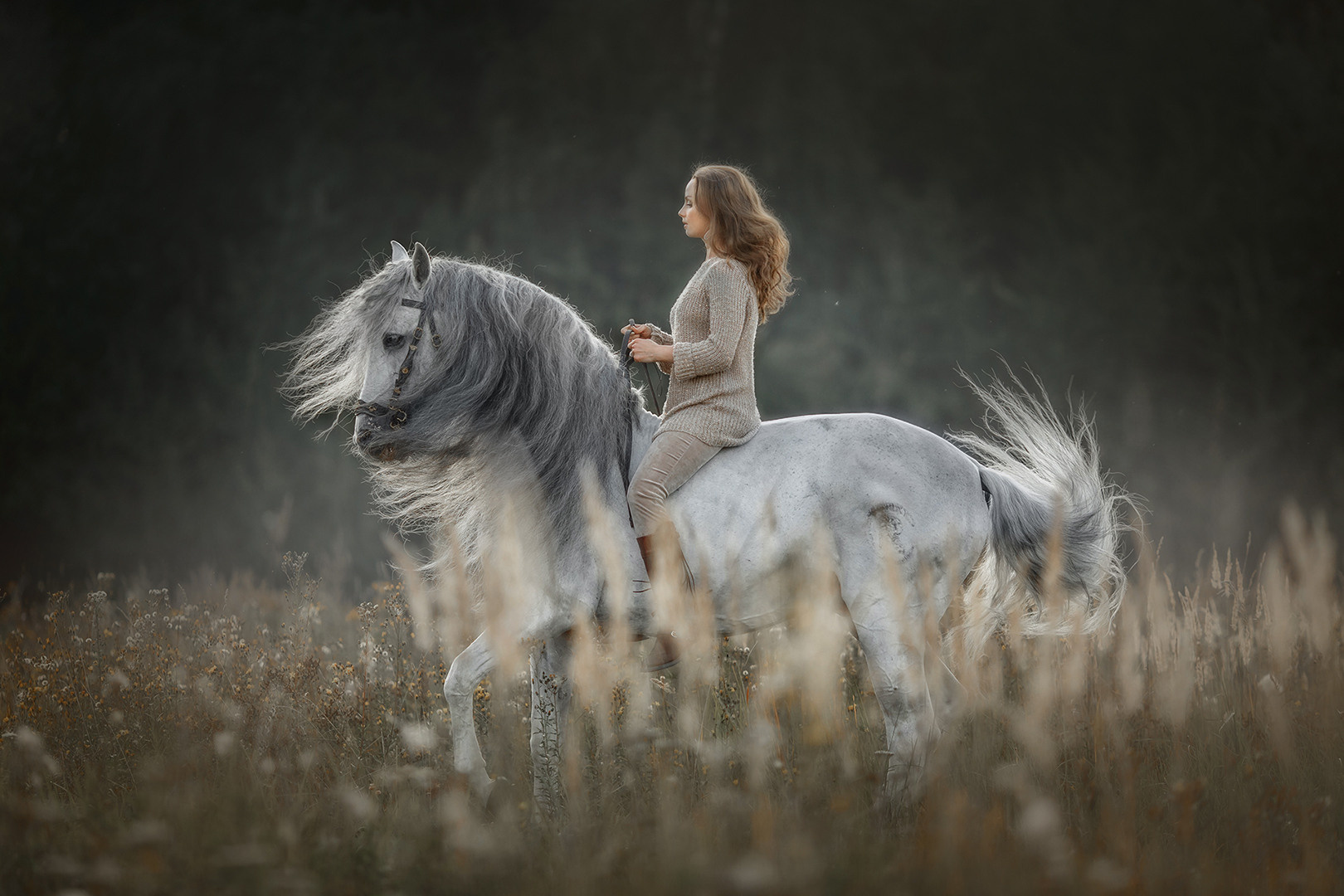 Детская Конная фотография в Москве Юлия Шепелева