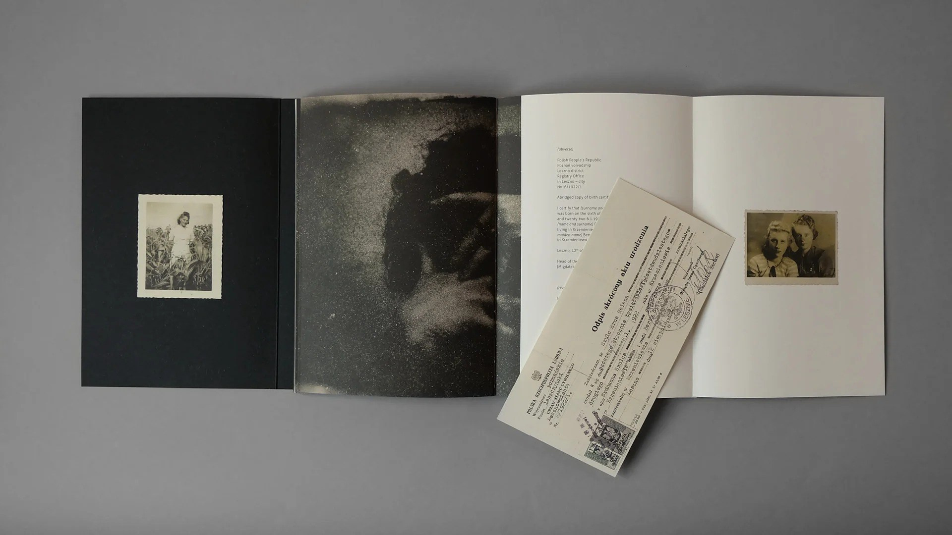 Как форма книги может влиять на концепт?. Самоорганизация Низина