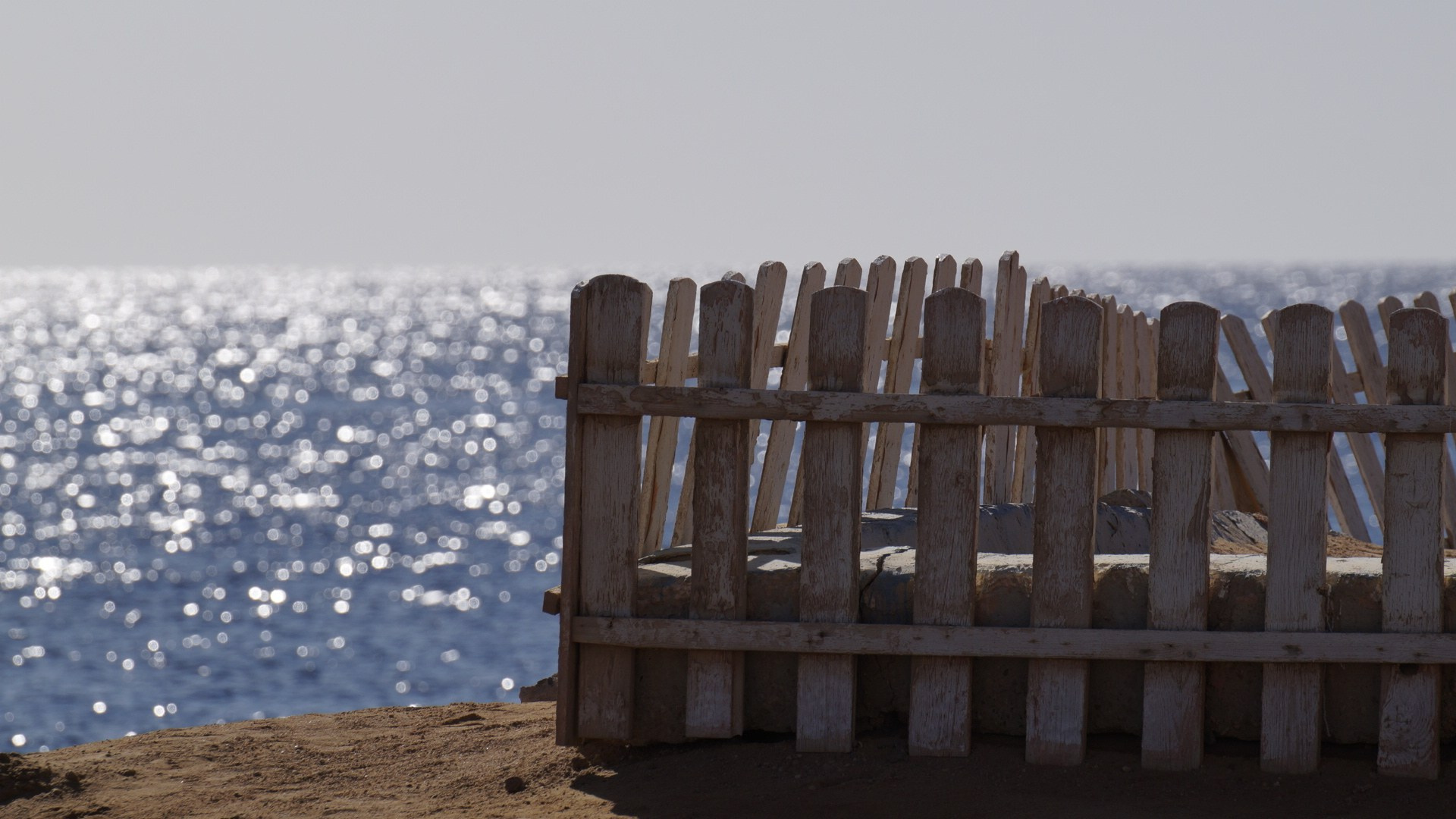 Liza Osh photography