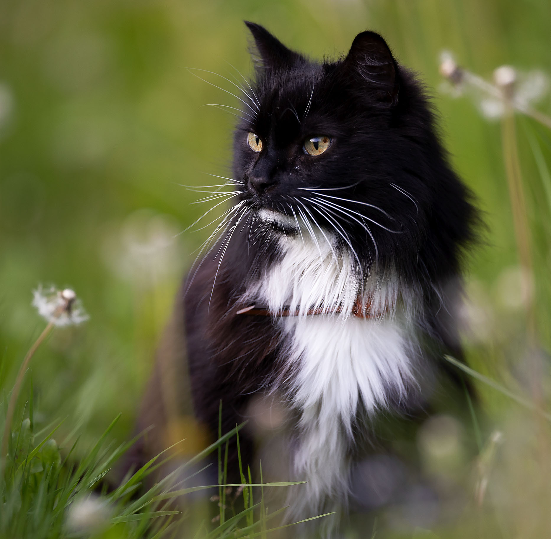 Детский и семейный фотограф в Москве Юлия Стукалова
