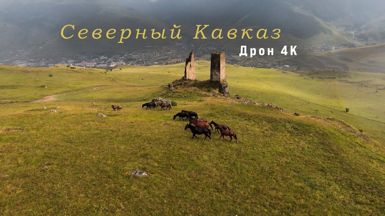 Film. Фотограф и видеограф Елена Хмелевская