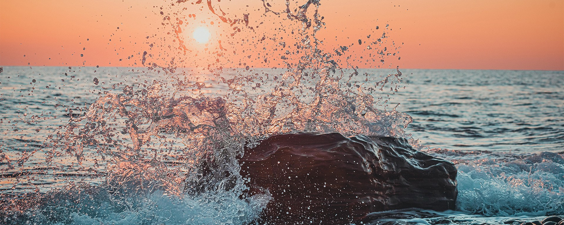 Фотограф в Сочи Сергей Чекалин