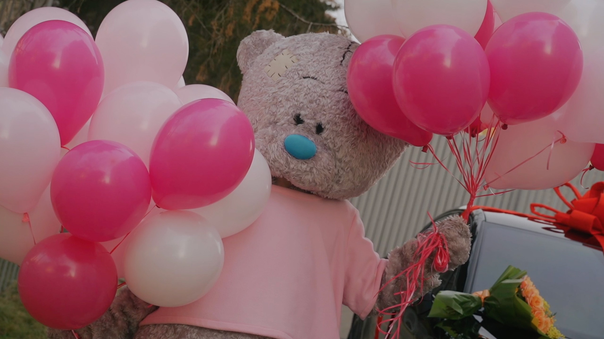 Выписка. Портфолио