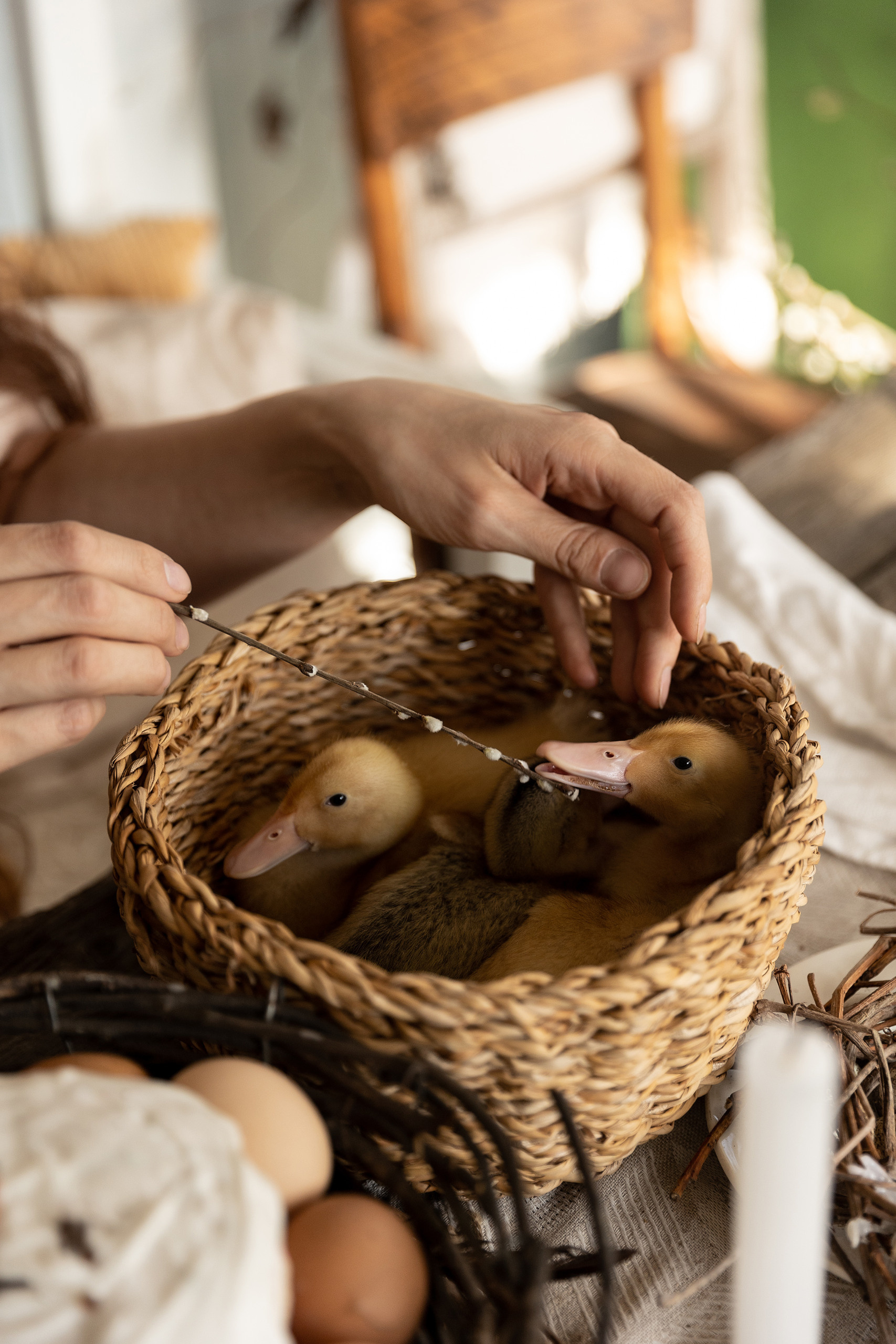 Пасха. Свадебный и семейный фотограф