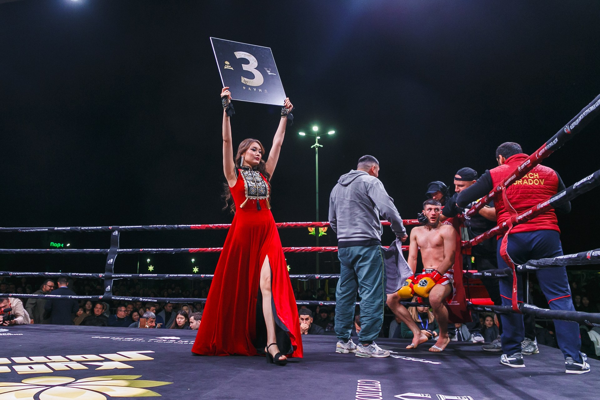 Кубок Лотоса в Элисте: турнир по кикбоксингу и боксу, основные моменты. Событийный фотограф Максим Бескоровайновнов