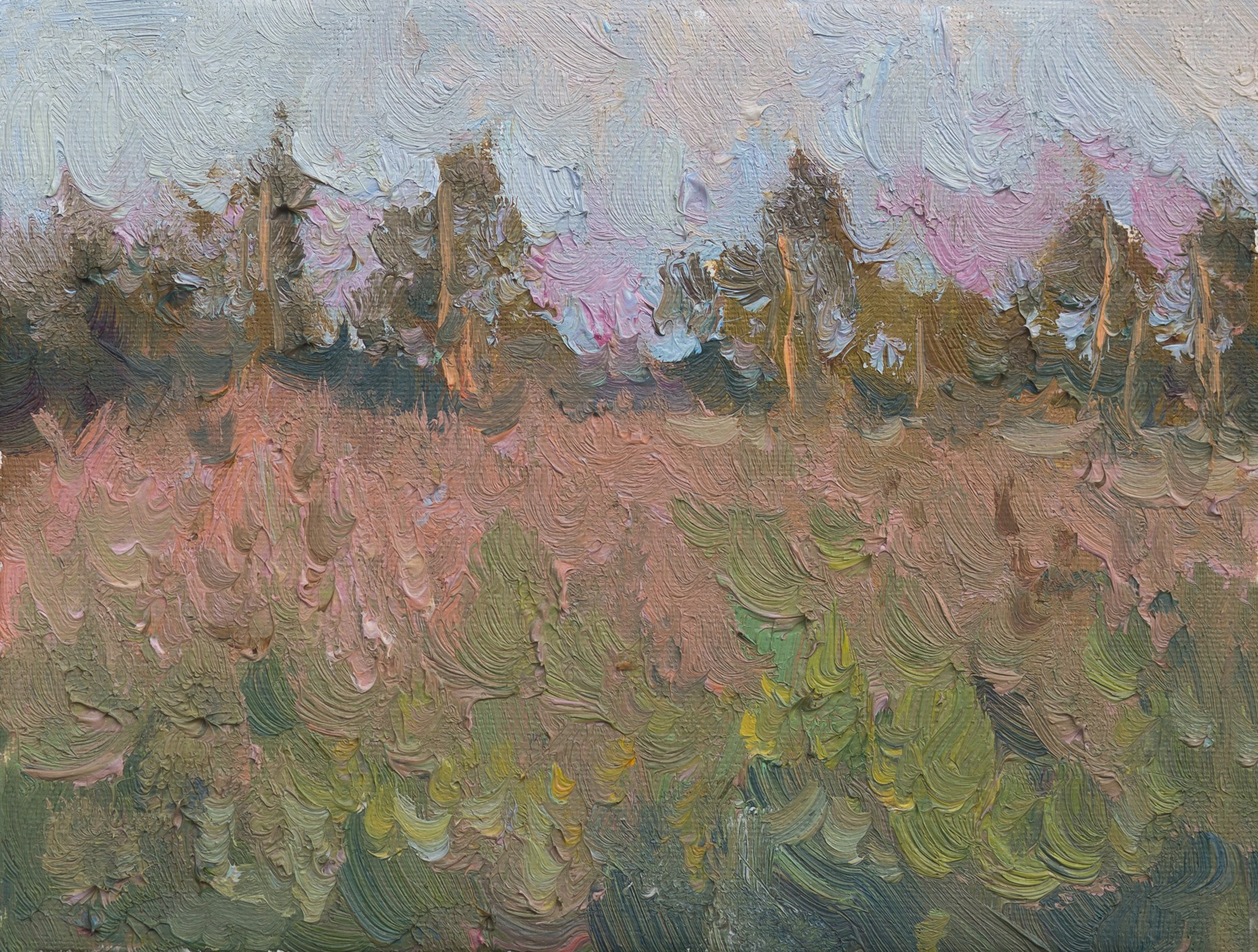 Последние лучи заходящего солнца