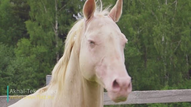 Видеосъемка