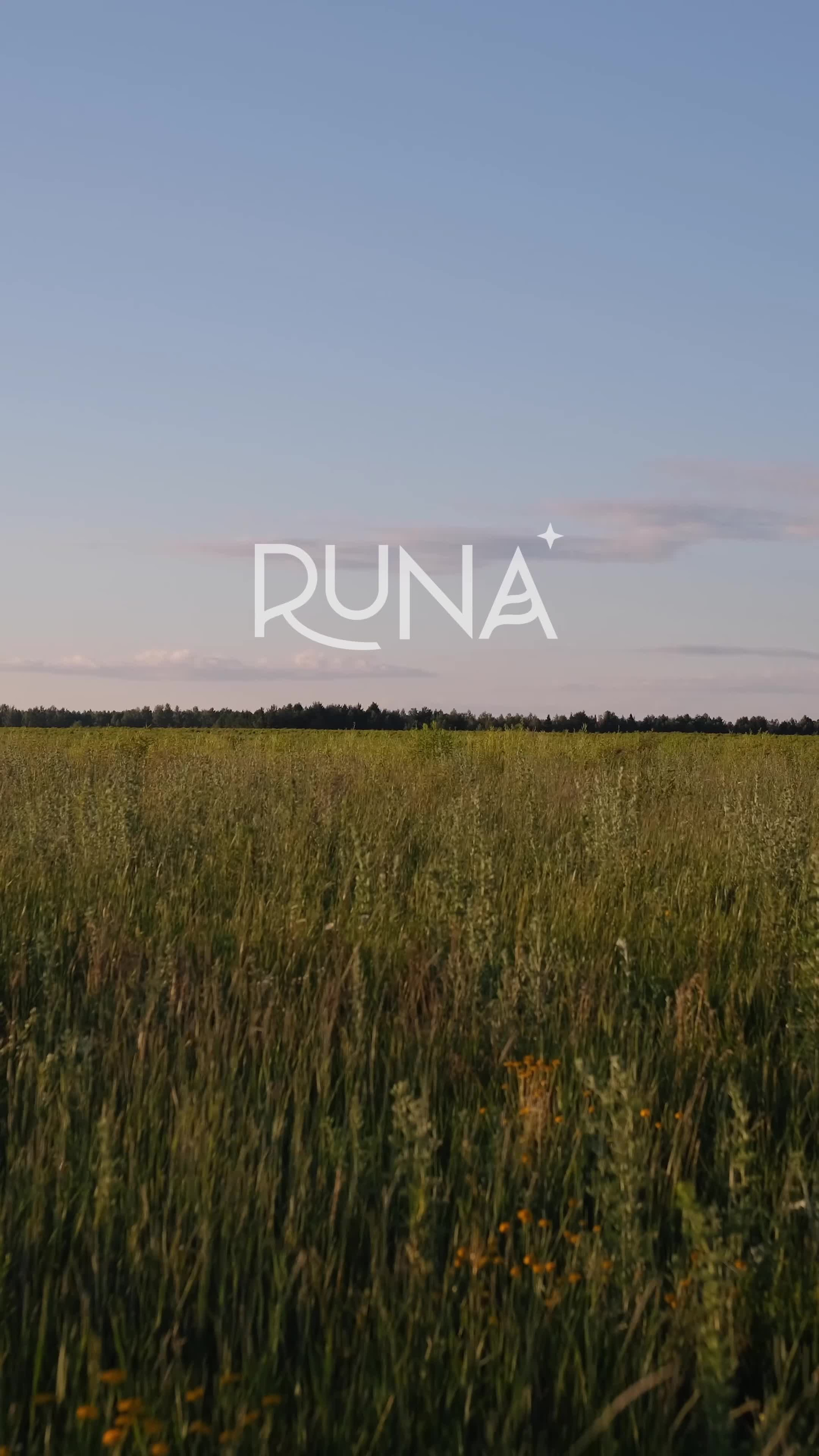 Рекламные видео. Видеосъемка для бизнеса