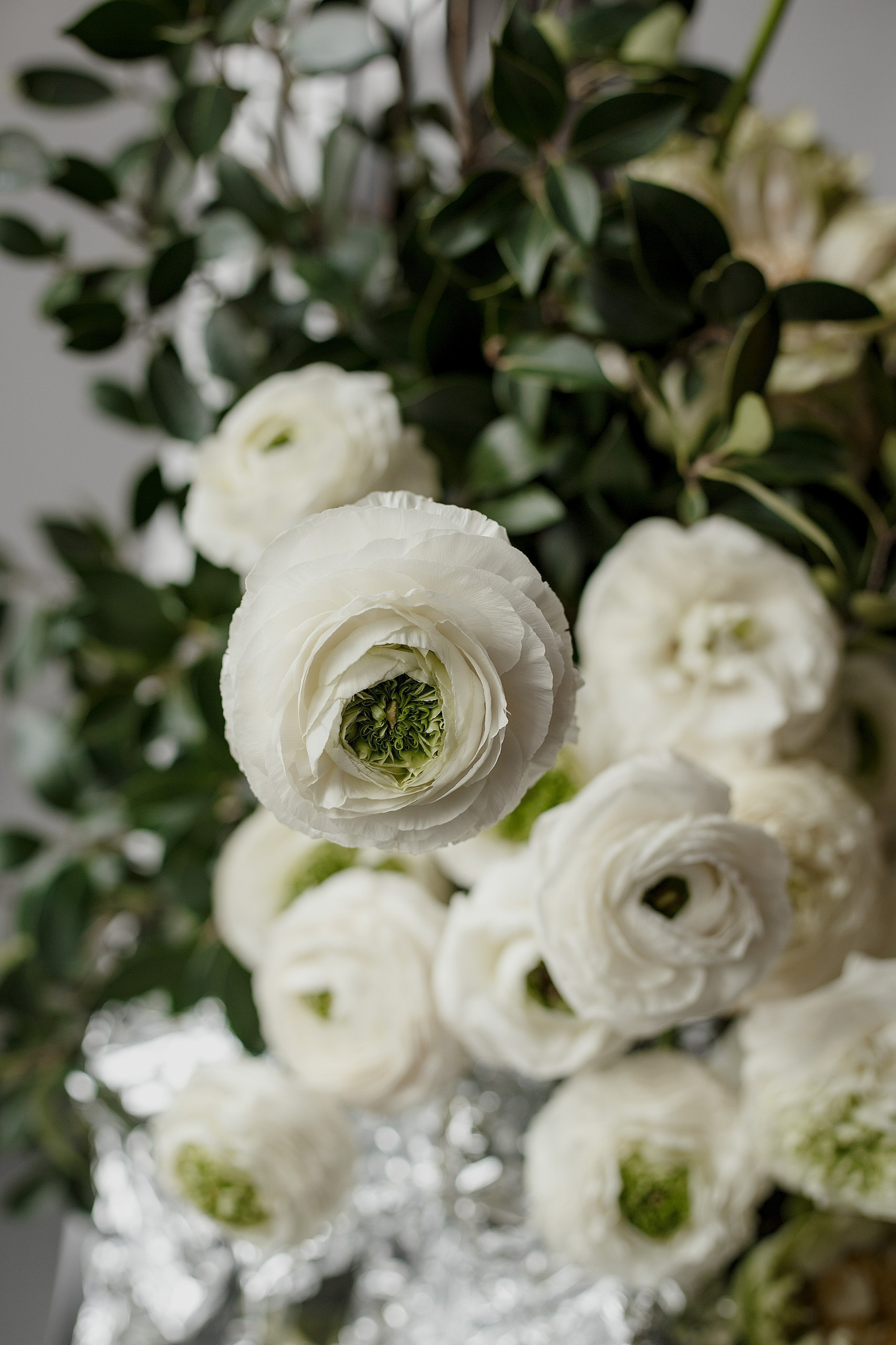 Отзывы. Свадебный фотограф Санкт-Петербург  Москва