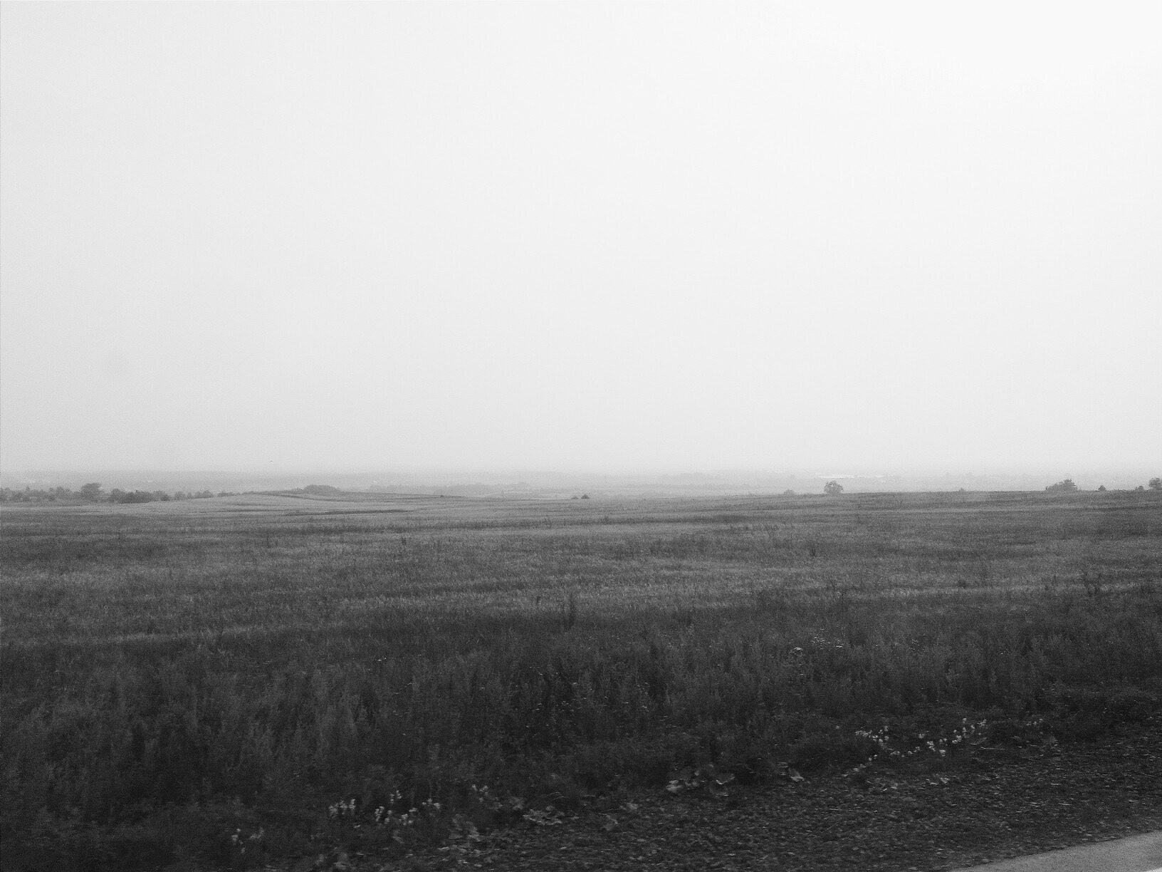 Personal projects. Фотограф Полина Треногина