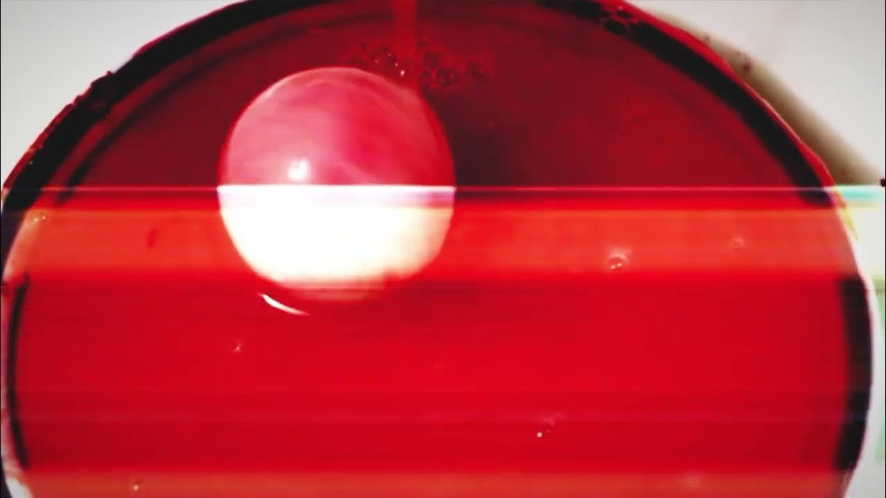 FILMS. Visual artist and photographer Alexandra Muravyeva