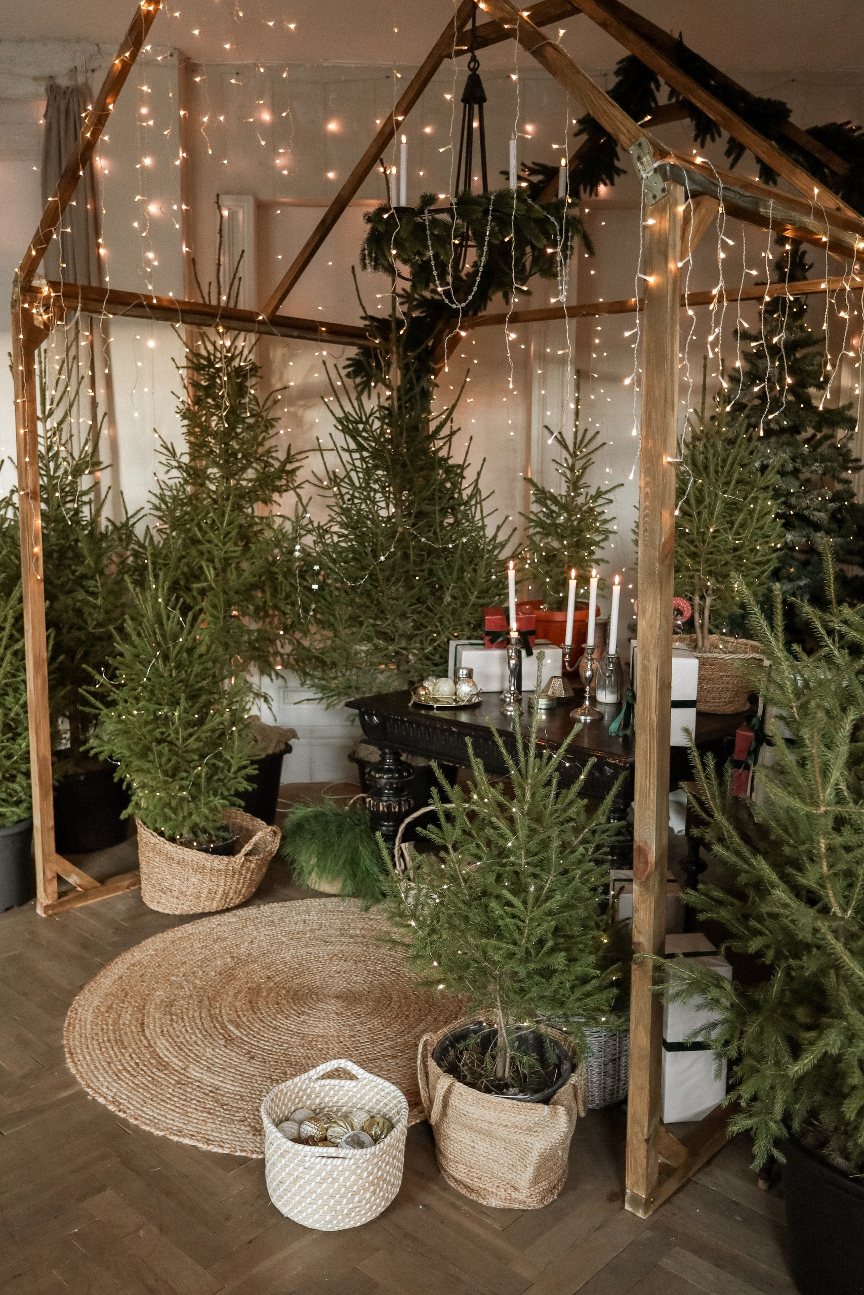 Фотостудии «Новый год 2026 год». Женский, семейный и детский фотограф в Тюмени Диана Осипова