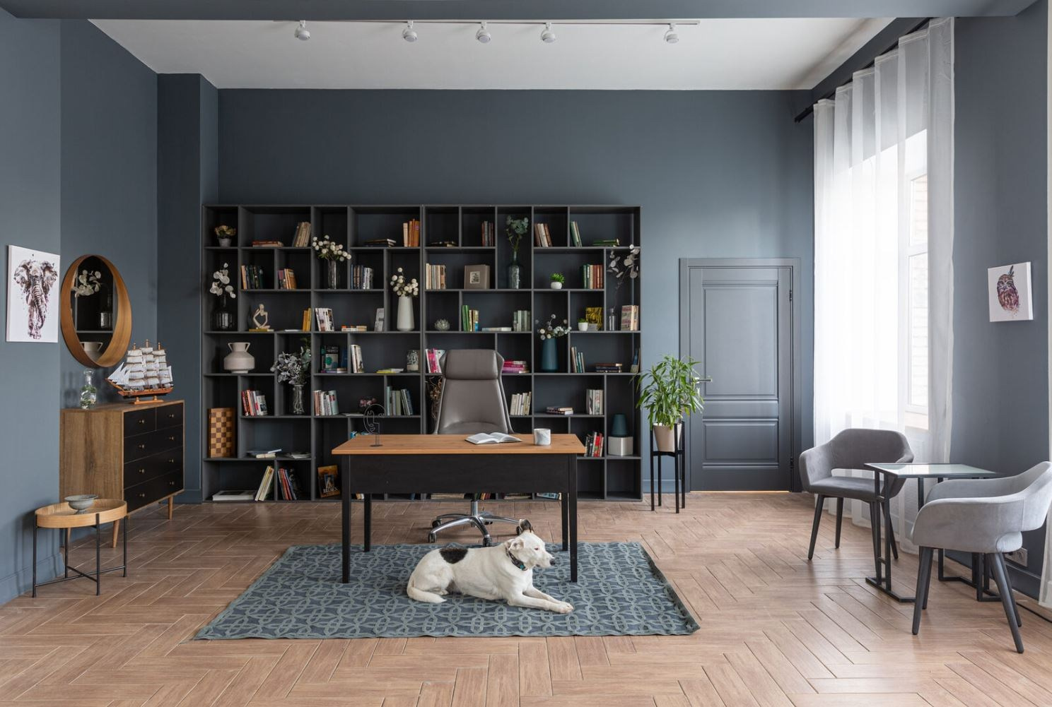 Студии для деловой фотосессии в Москве. Фотосессии в Москве. Фотограф Анна Михайлова