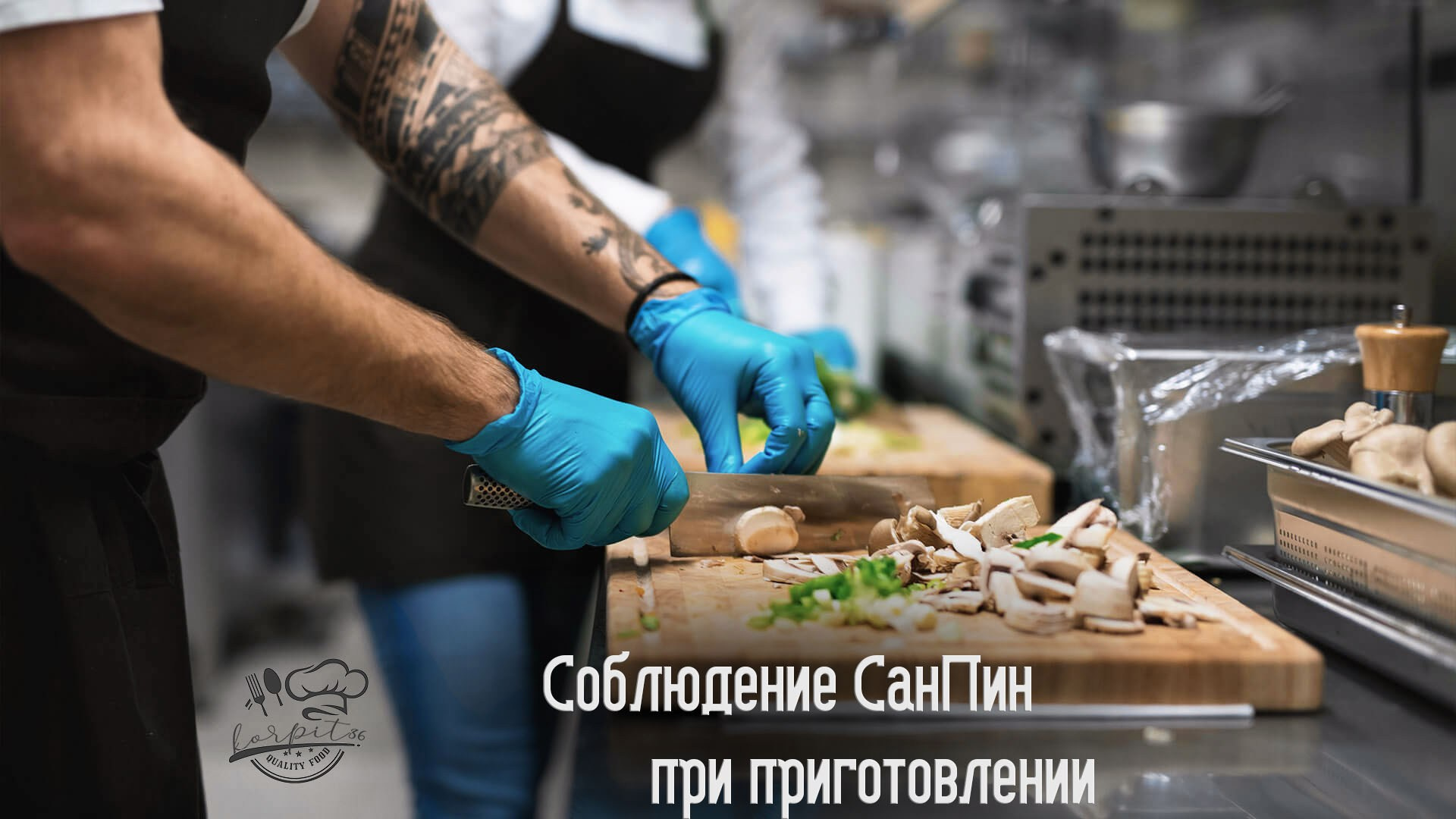 Комплексные обеды от команды KORPIT