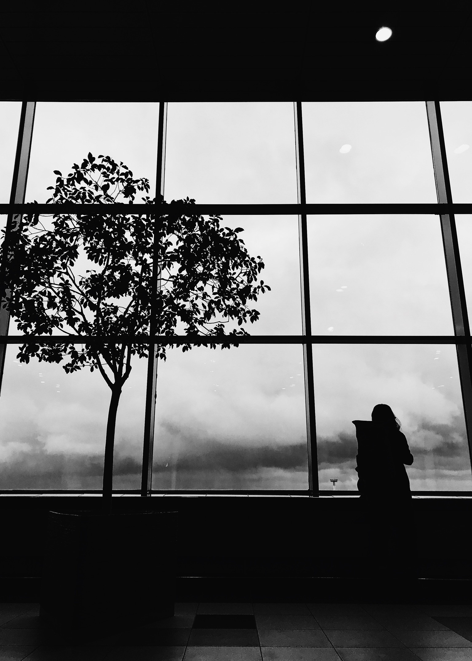 Курс по мобильной фотографии «ФОТОЛОВИСТА»