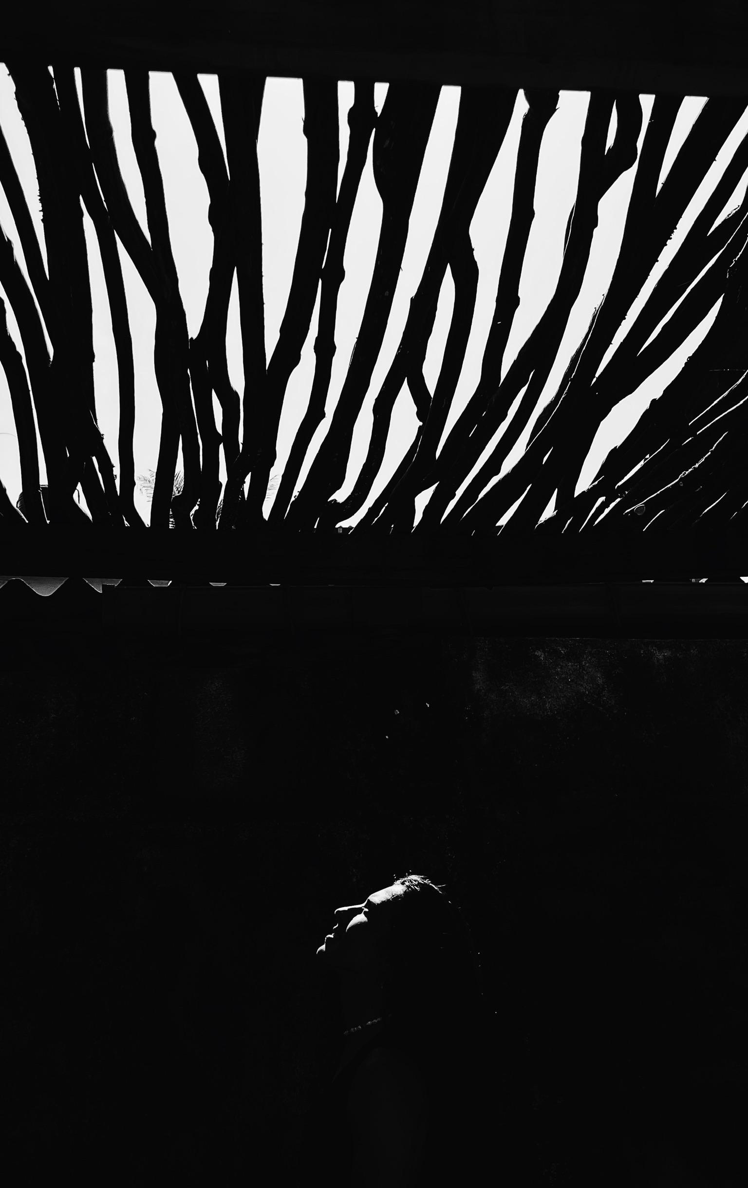 Курс по мобильной фотографии «ФОТОЛОВИСТА»