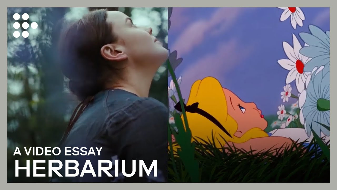 Урок «Гербарий» Пакет