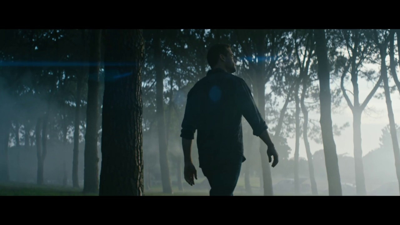 Урок «Гербарий» Пакет