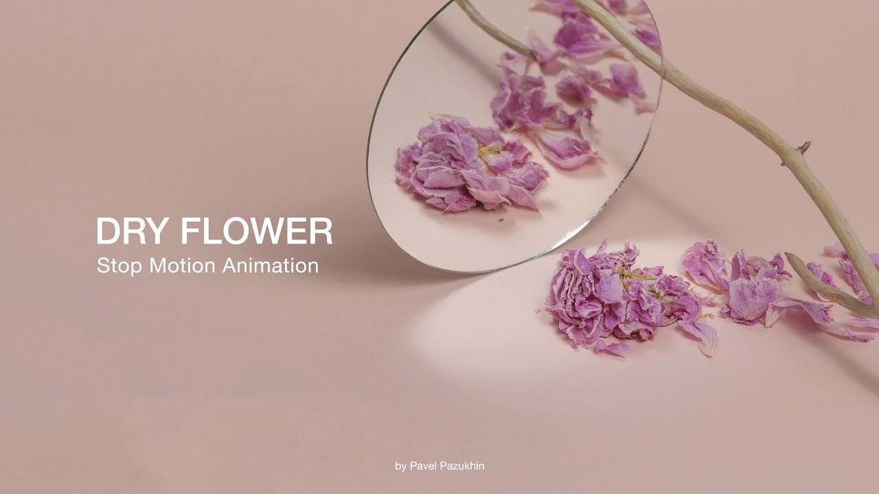 Урок «Гербарий» Пакет