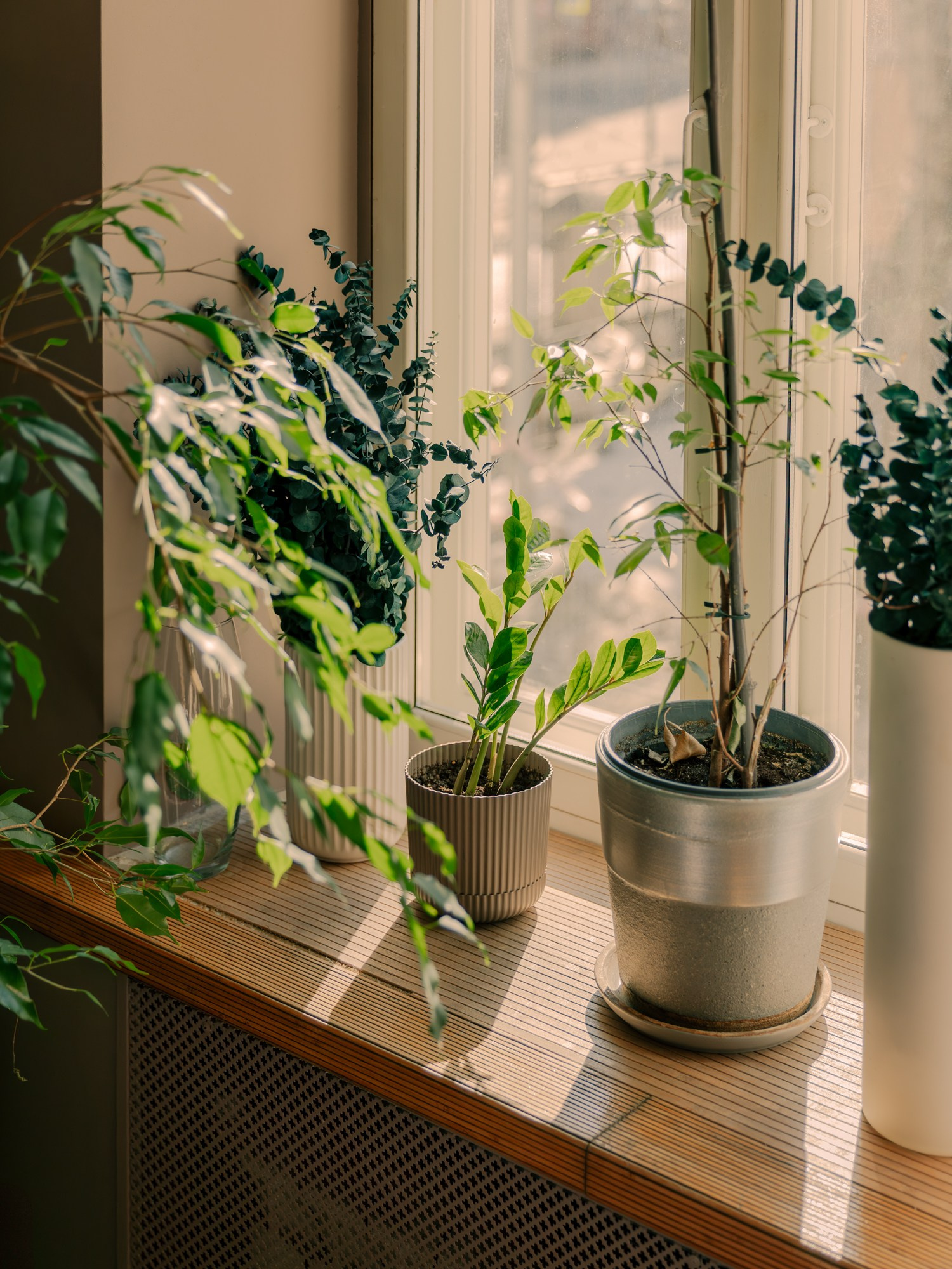 “Tverskoy” Hotel. Фотограф Павел Краснов