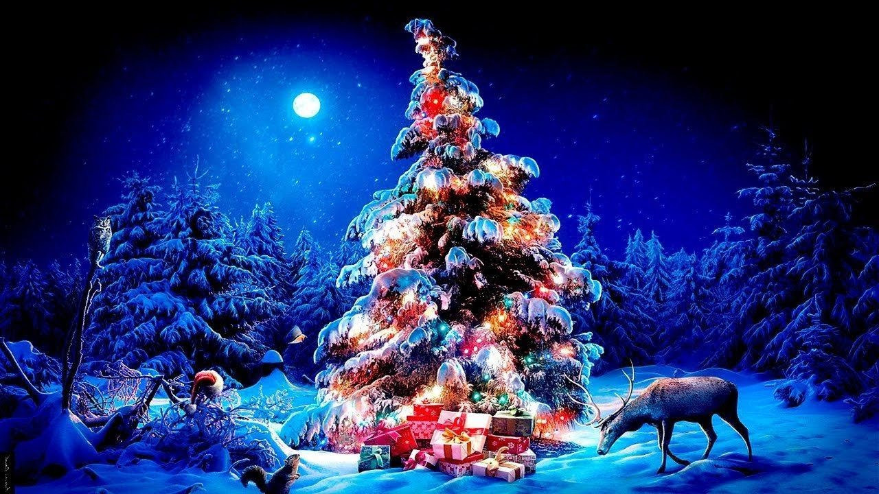 Видеосъемка выпускных. Выпускные фотокниги