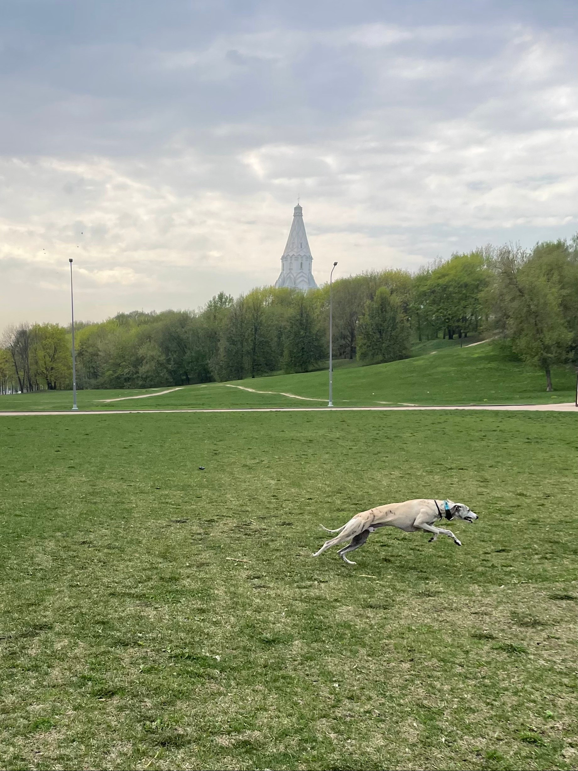 Фотограф в Москве Екатерина Демчук