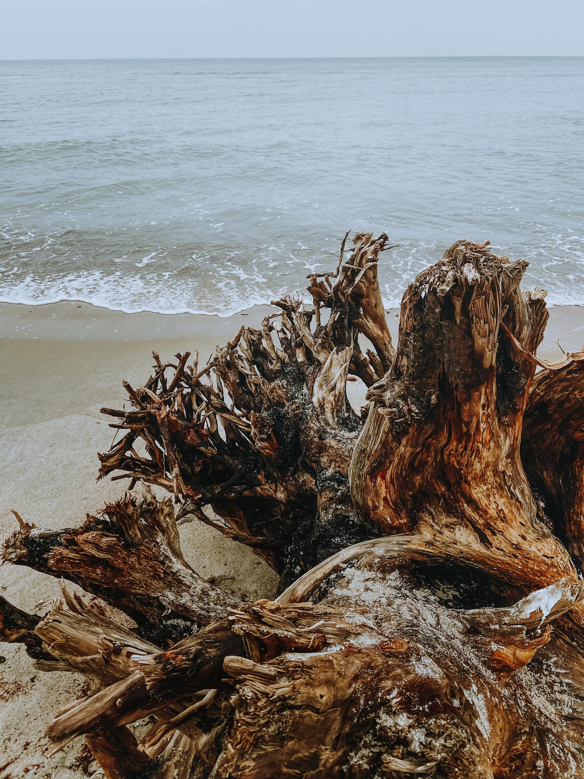 Купить фотографии. Свадебный фотограф в Калининграде Мария Ямышева