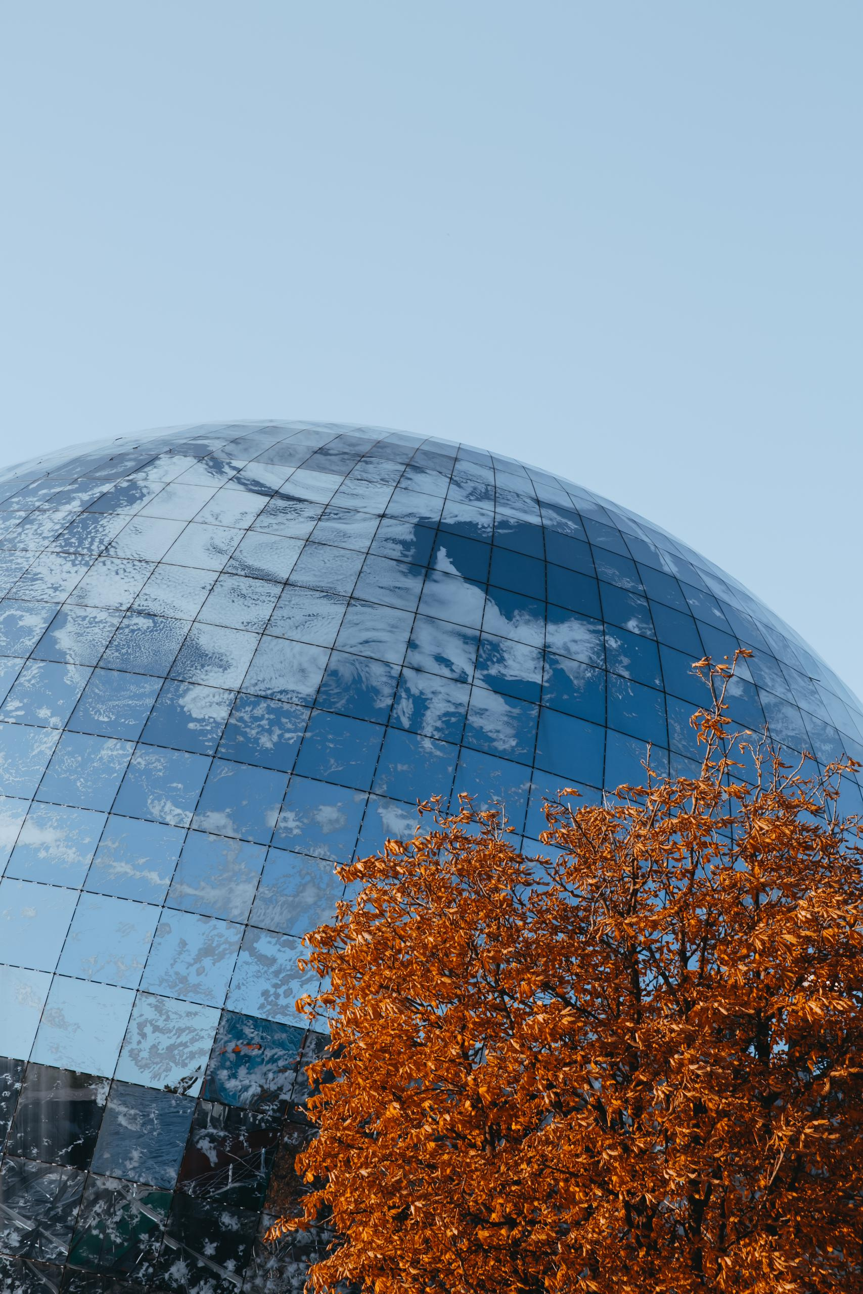 Купить фотографии. Свадебный фотограф в Калининграде Мария Ямышева