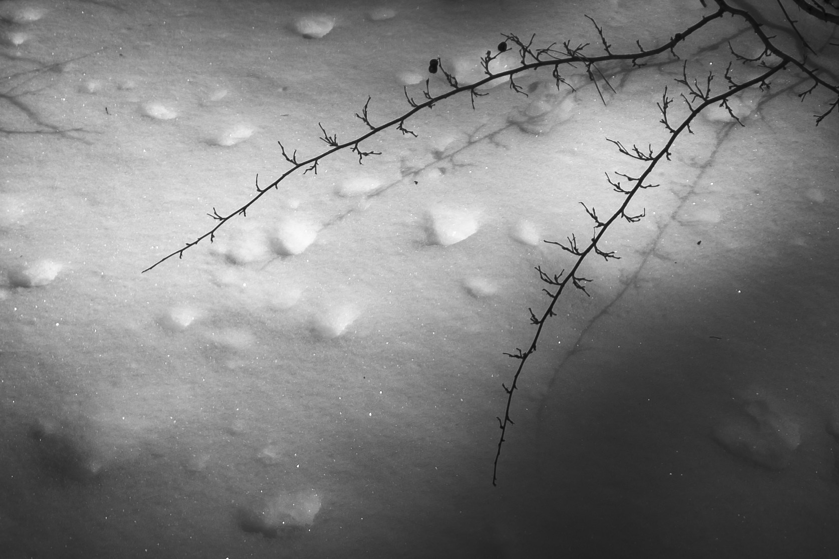 Фоточеллендж «30 дней — 30 фото». Олег Романов. Мастер фото по спорту