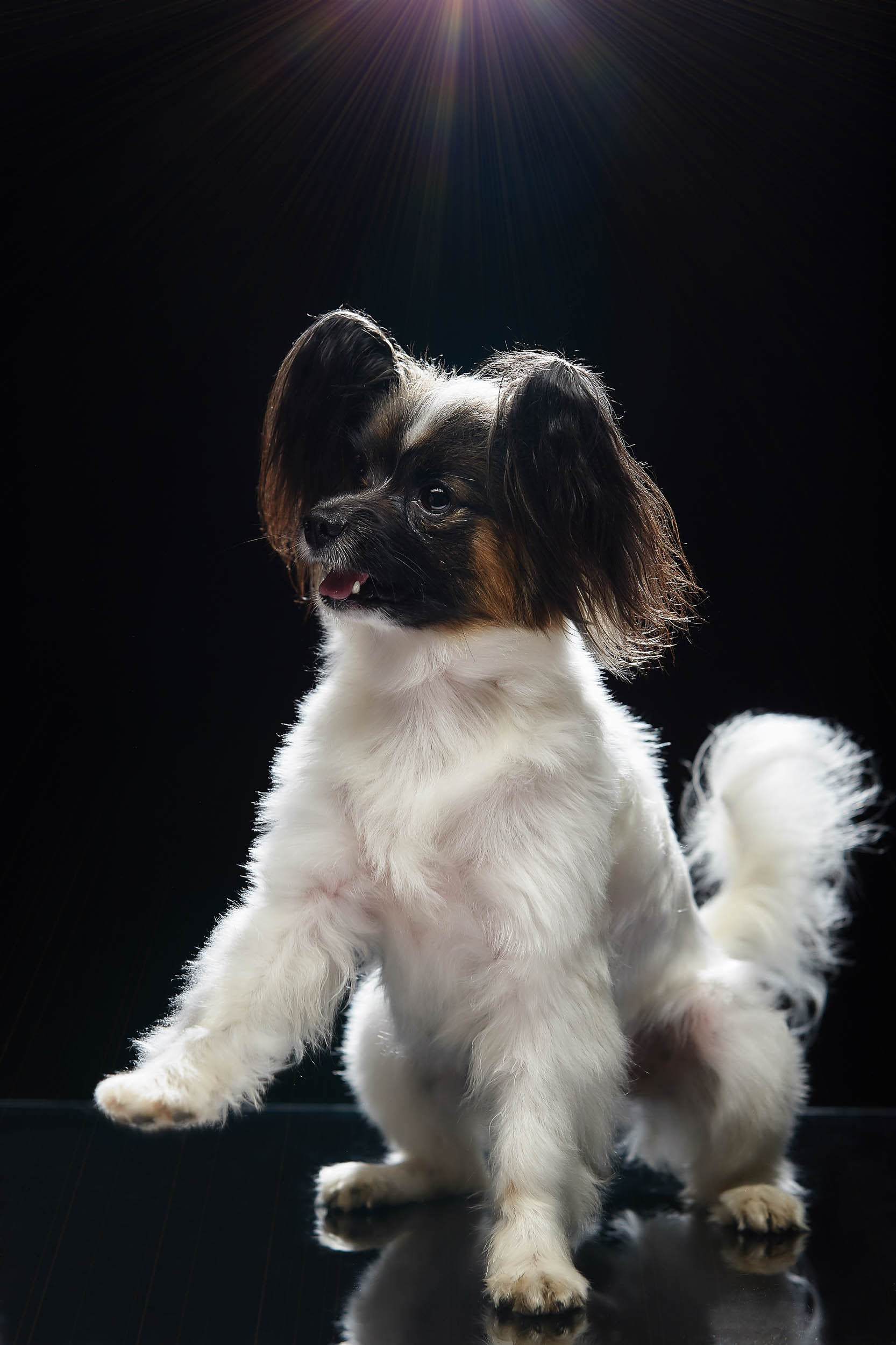 Фотопроекты и съемки на природе, с лошадьми, самолетами и авто. Выездная фотосессия. Фотограф, фотопроекты Михаила Семенова в Ярославле. Фотошкола