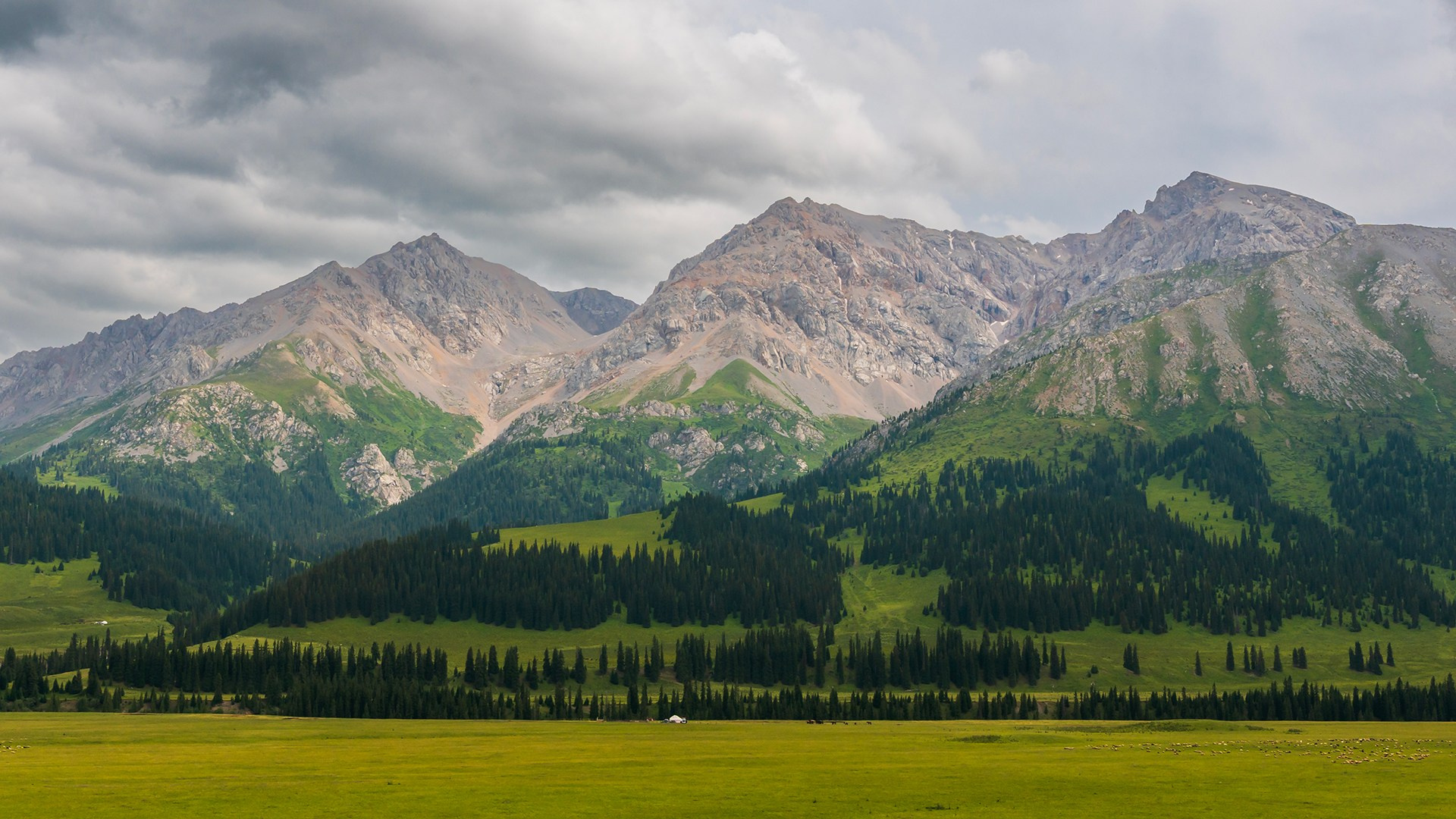 Продажа фотографий. Интерьерный фотограф Алматы