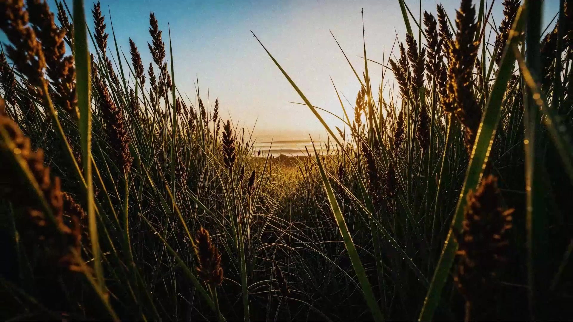 Макс Скрябин — Режиссер рекламы и кино (Branded doc): Портфолио