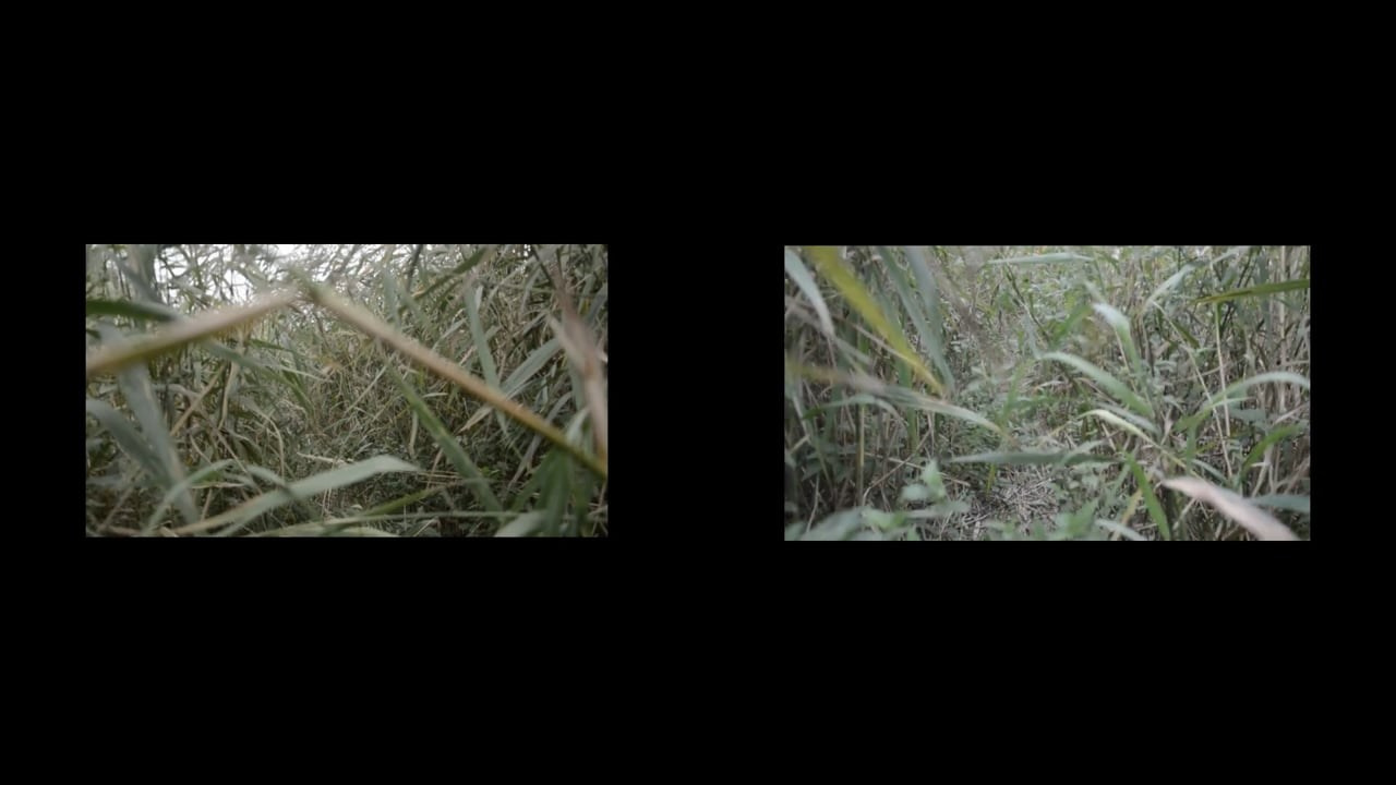 Вика Буковская — Помоги мне вернуться в места, которые всё ещё кажутся знакомыми