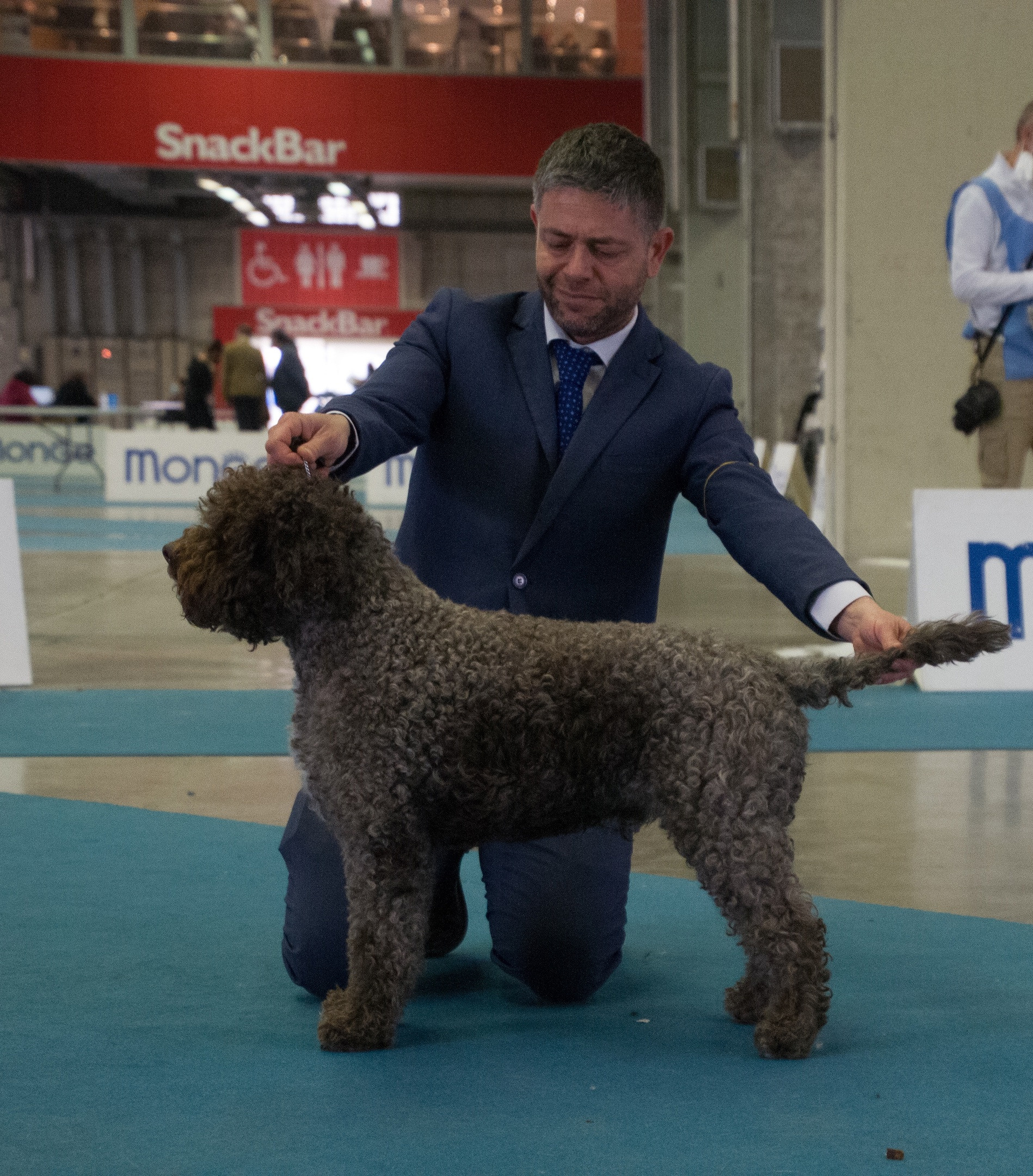 МК_СКИФКА. Фотограф Анималист из Новосибирска Татьяна Кауфман