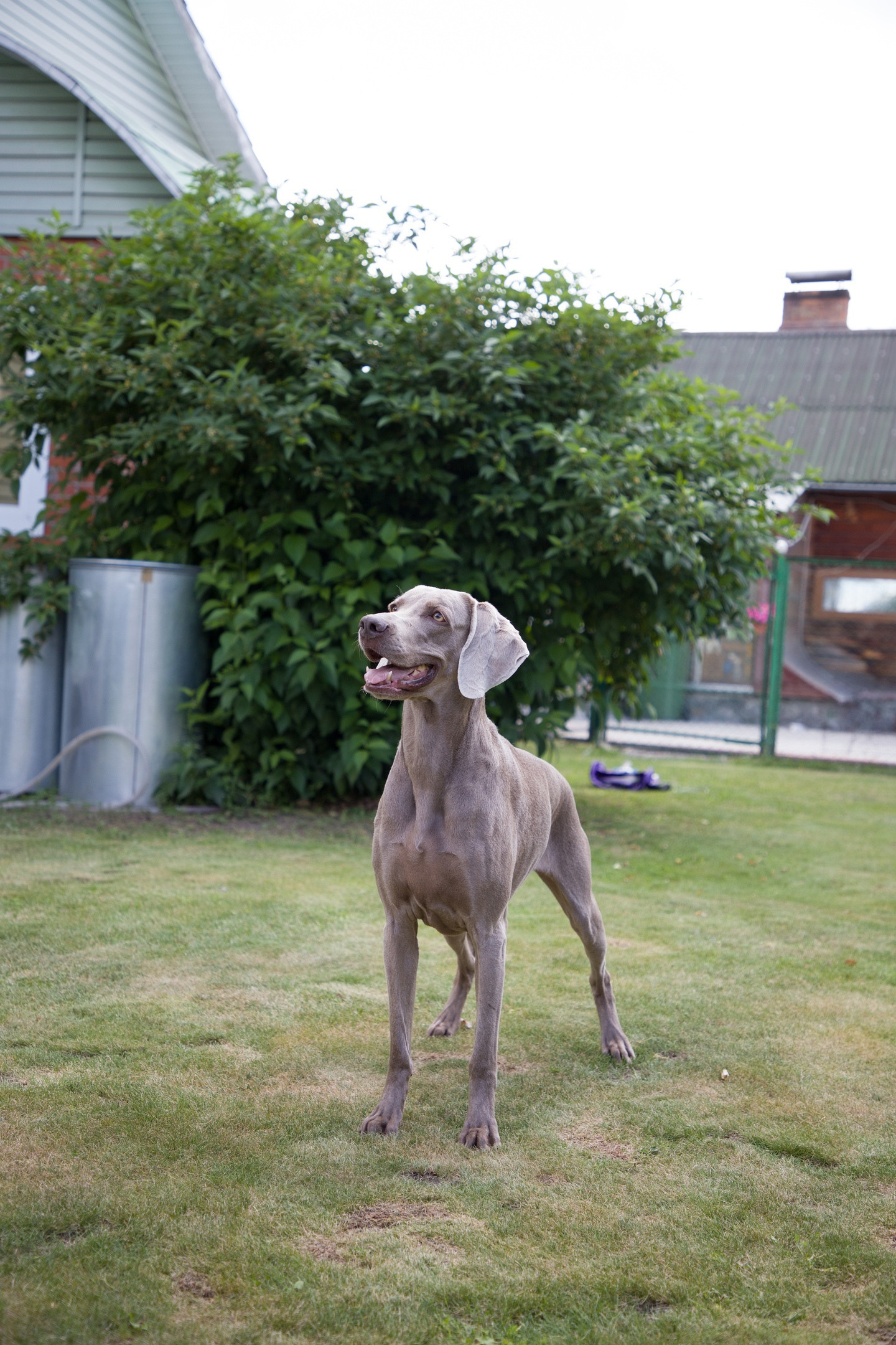 МК_СКИФКА. Фотограф Анималист из Новосибирска Татьяна Кауфман