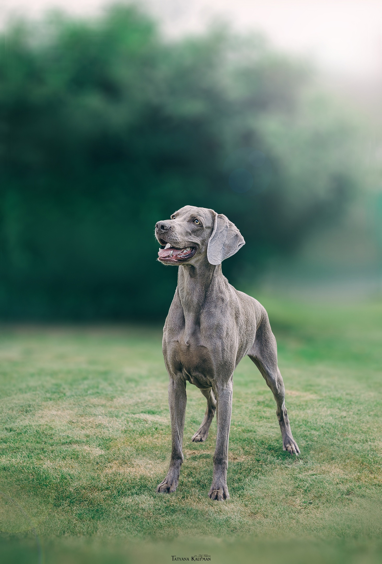 МК_СКИФКА. Фотограф Анималист из Новосибирска Татьяна Кауфман