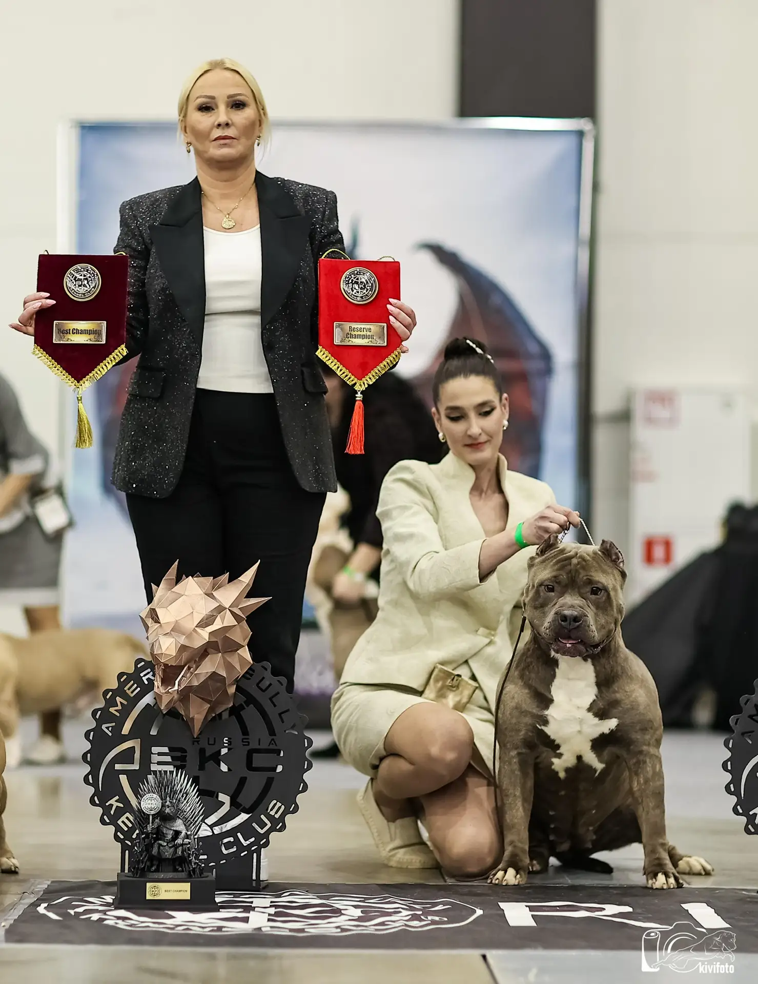 Участие в выставках. Американские булли XL в г. Калининград. Питомник Great Bully UNIVERSE