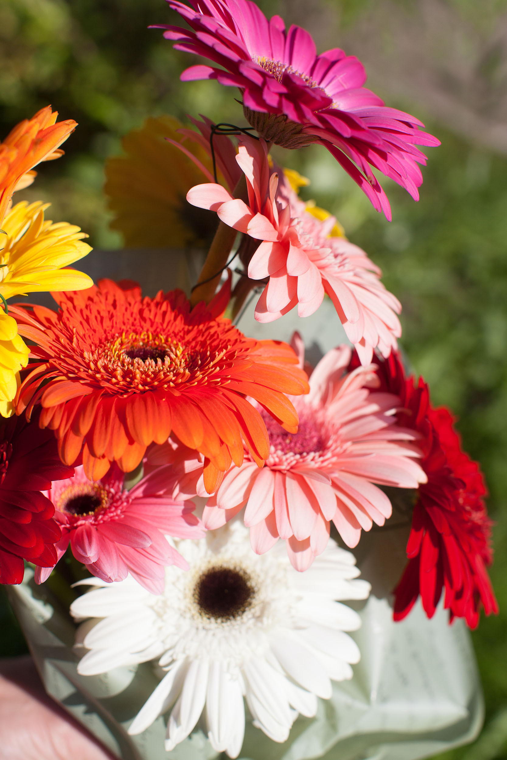 Выписка из роддома: фото-видеоуслуги