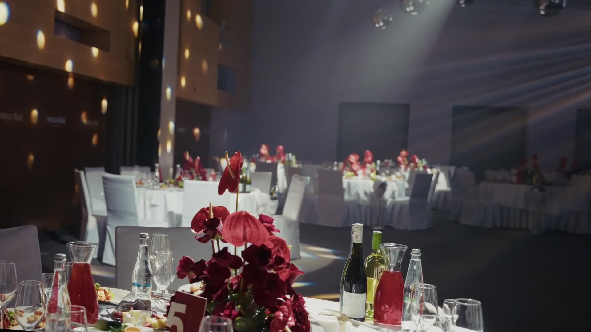 Видеограф Волгоград Саша и Наташа Сенатовы. Портфолио. Видеограф Волгоград. Свадебное видео. Саша и Наташа Сенатовы