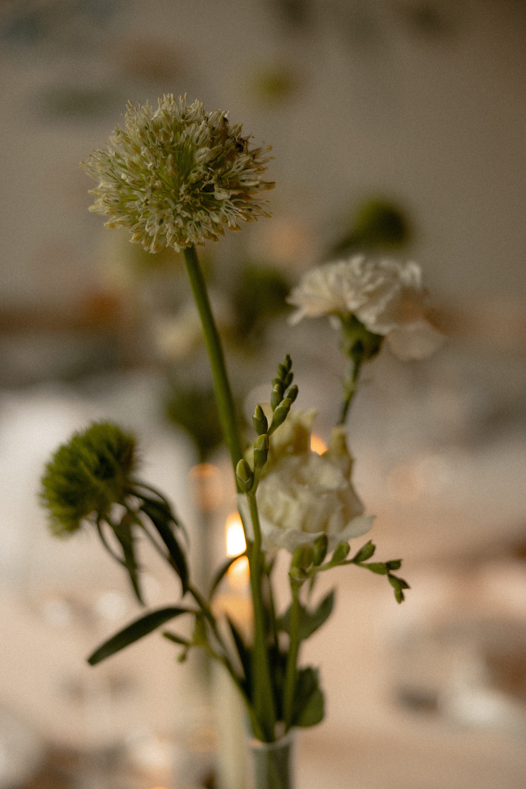 Анна & Антон. Yura Rush Свадебный фотограф Тюмень