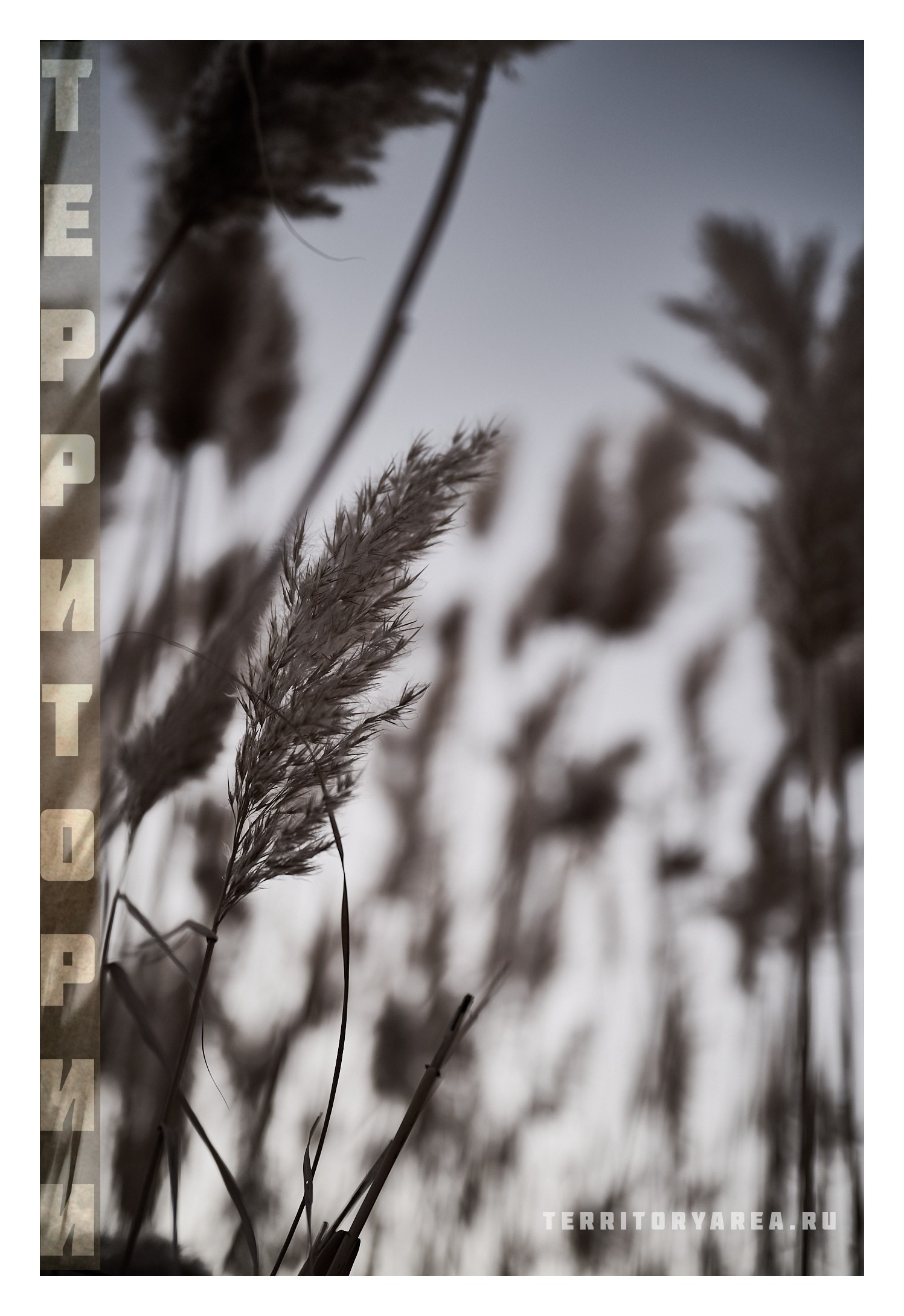 Фотопринты А3. Фотопроект «Территории»