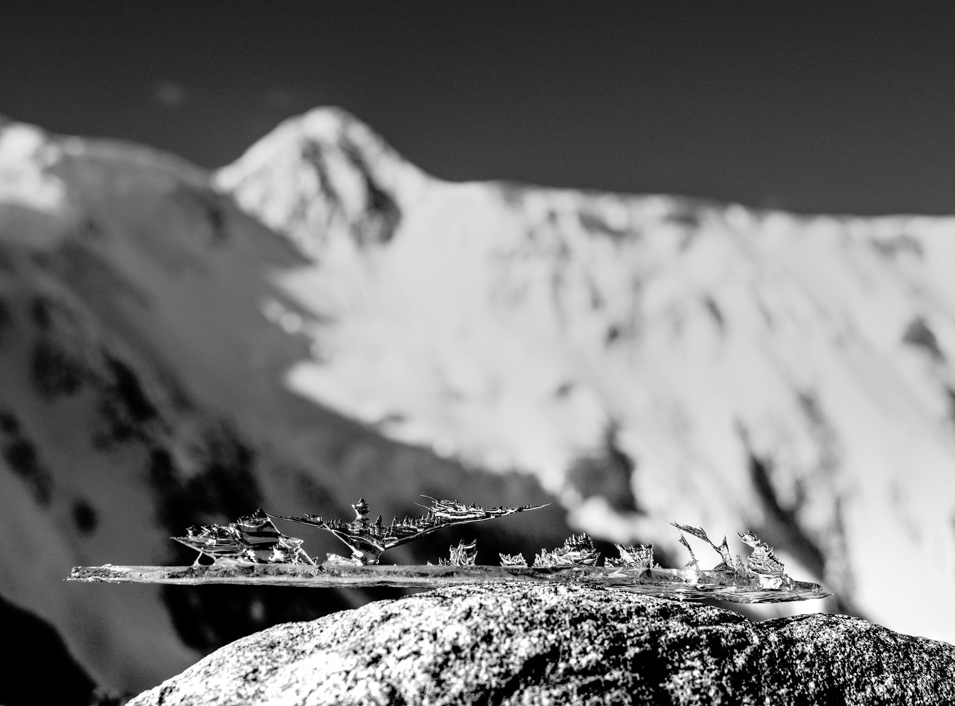 Гора Белуха. Фотограф анималист, пейзажист, спортивные мероприятия. Новосибирск